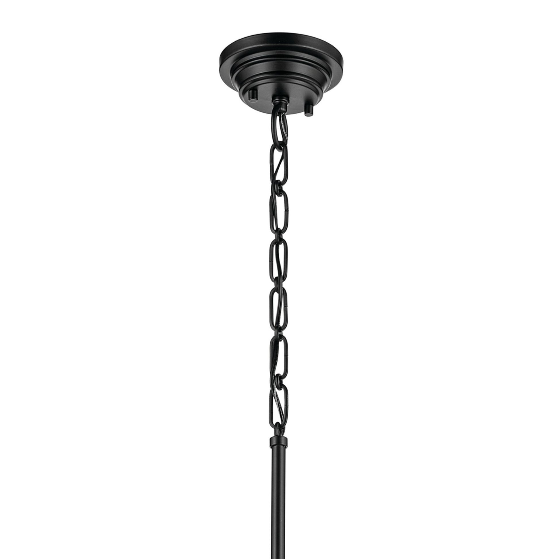 Marsailli 12" Pendant, Black Finish, Clear Glass - Bees Lighting