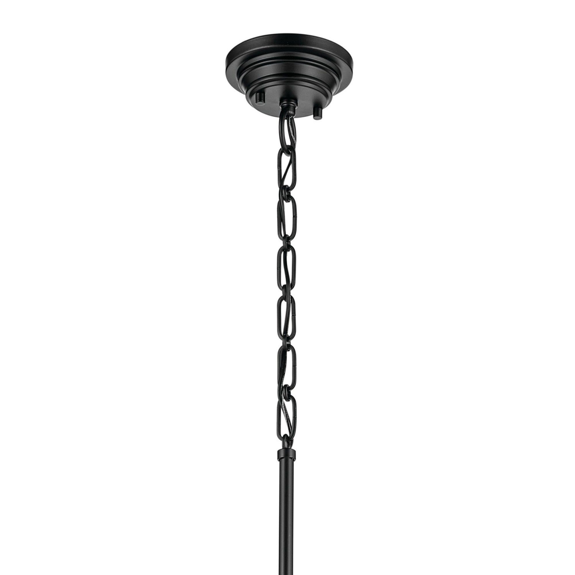 Marsailli 12" Pendant, Black Finish, Clear Glass - Bees Lighting