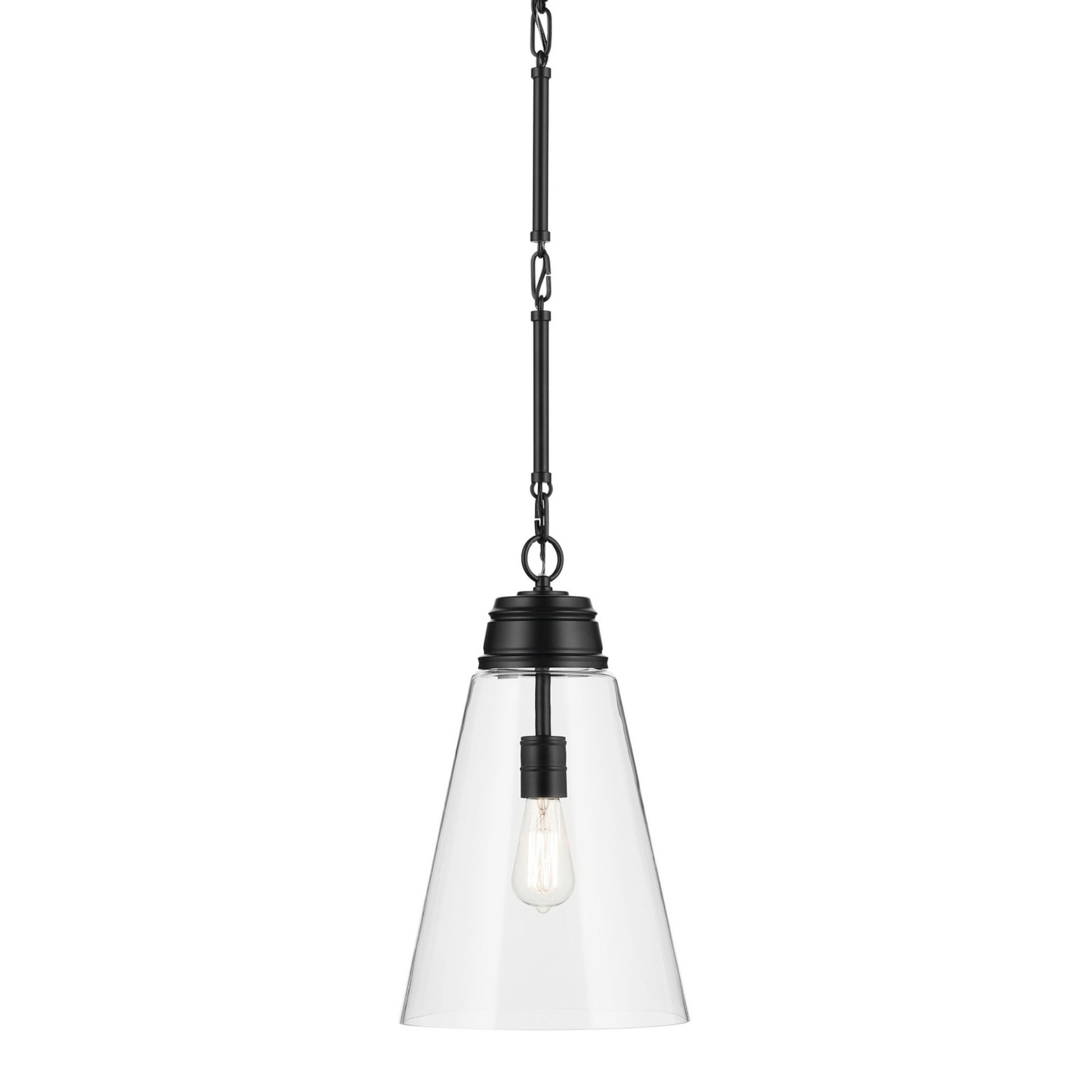 Marsailli 12" Pendant, Black Finish, Clear Glass - Bees Lighting