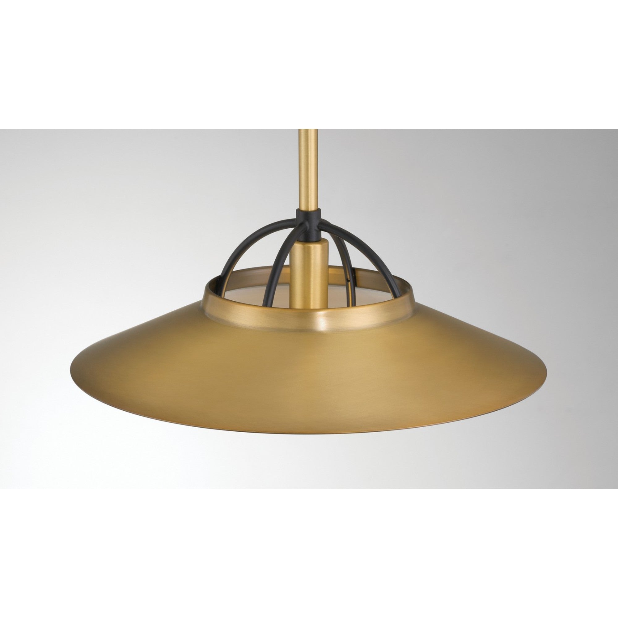 Newburie 12" Pendant, Legacy Brass & Dark Matte Black Finish - Bees Lighting