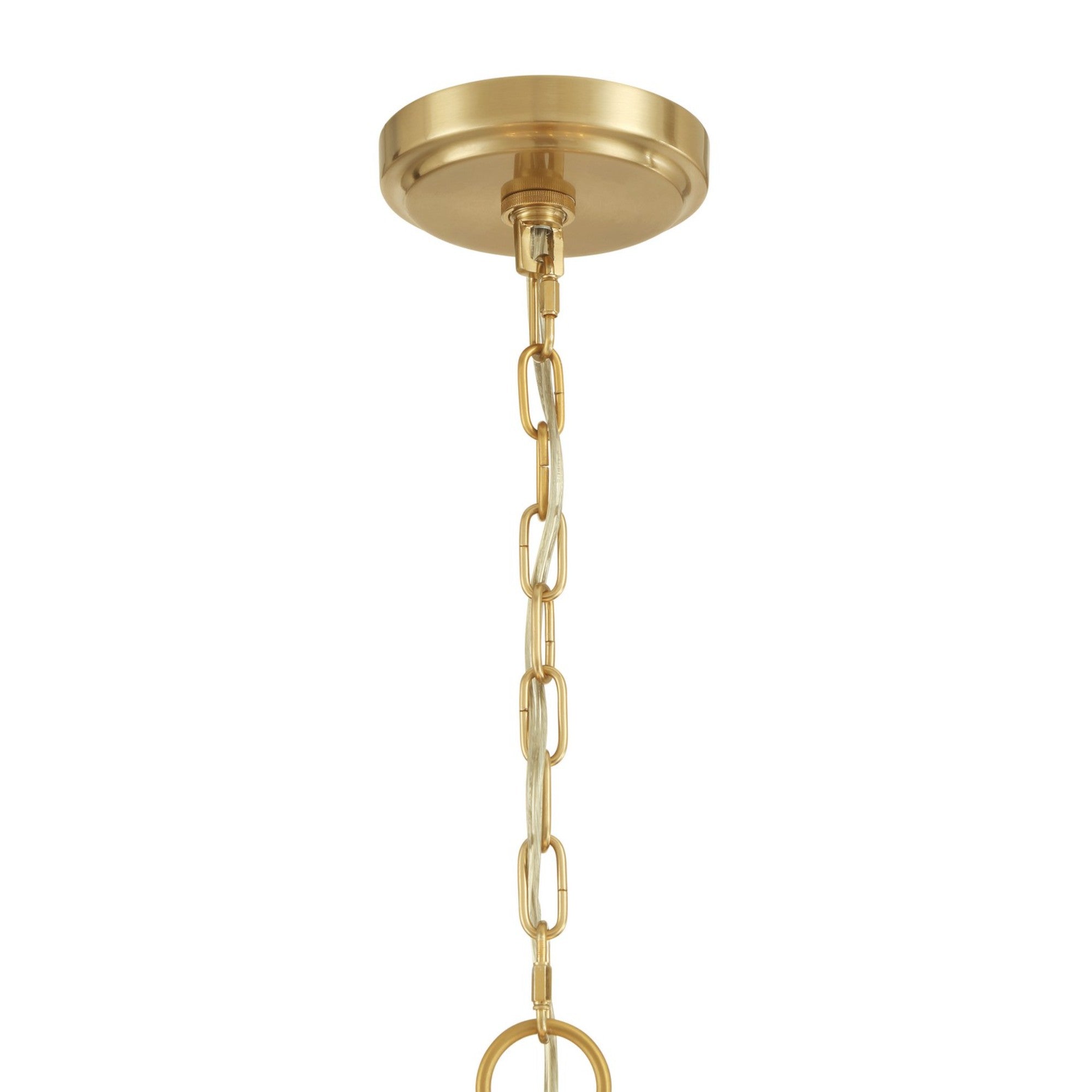 Orchid 29" 10-Light Pendant, Legacy Brass with White Glass Finish - Bees Lighting