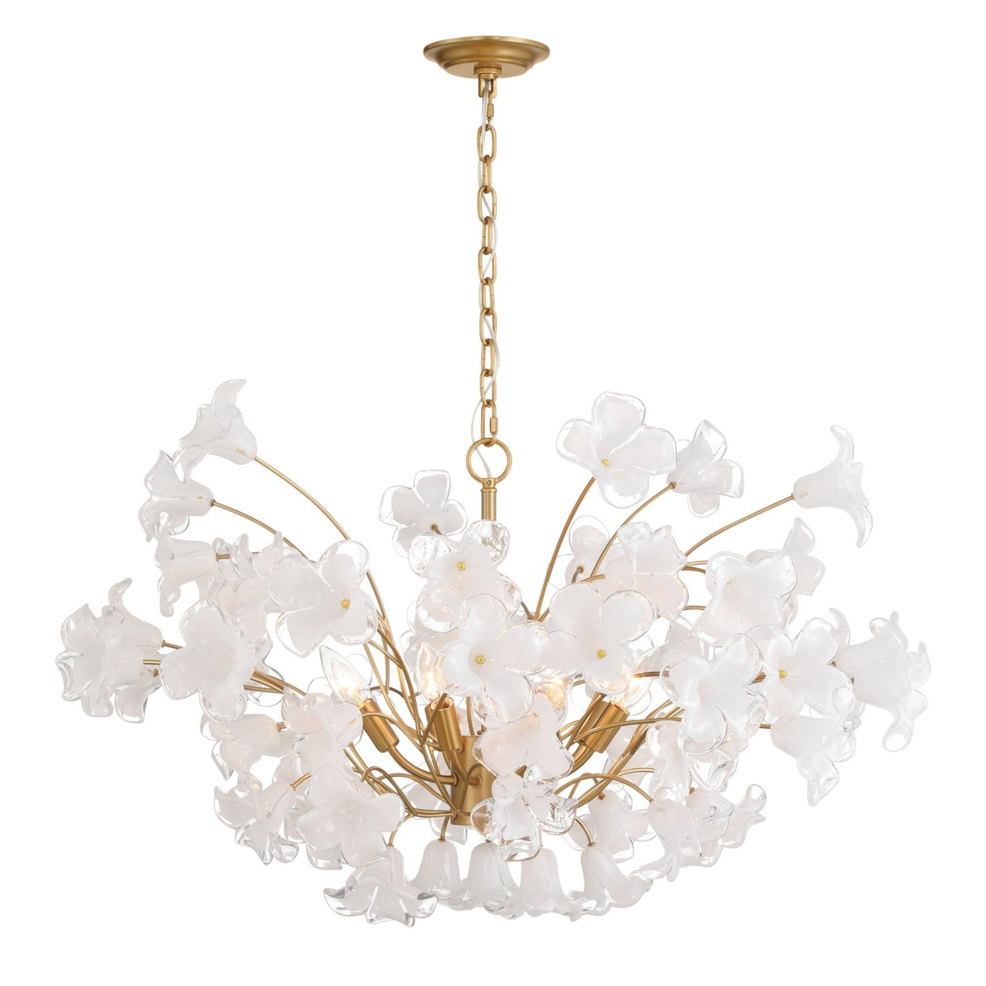 Bloome 37" 8-Light Chandelier, Legacy Brass Finish - Bees Lighting