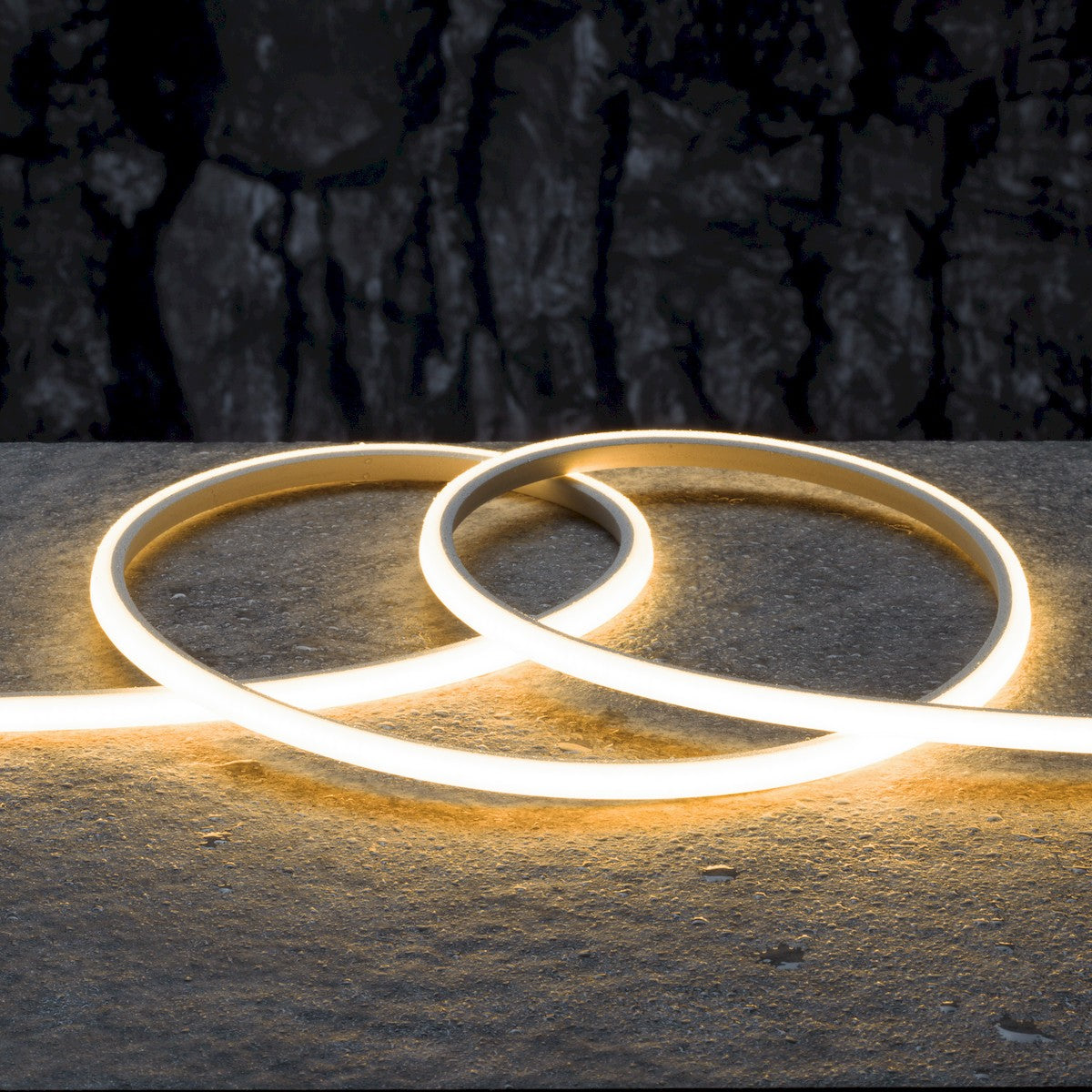 Warm white LED neon strip looped pattern casting light onto surface
