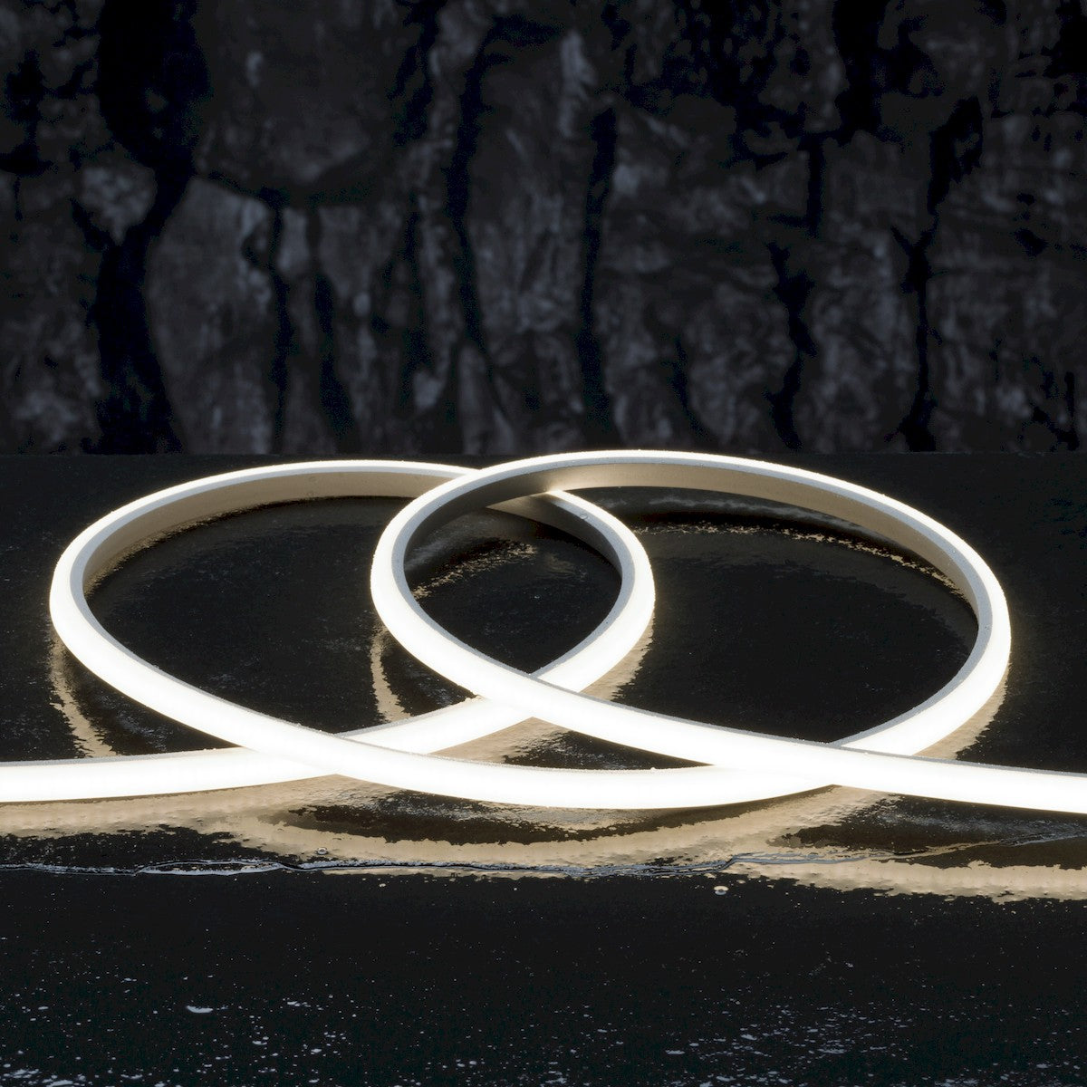 Looping cool white LED neon strip with glowing inner loop
