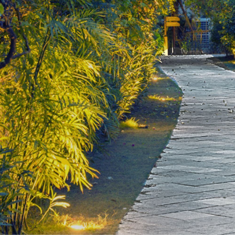 In-ground LED landscape light with warm glow, brass finish, installed along walkway