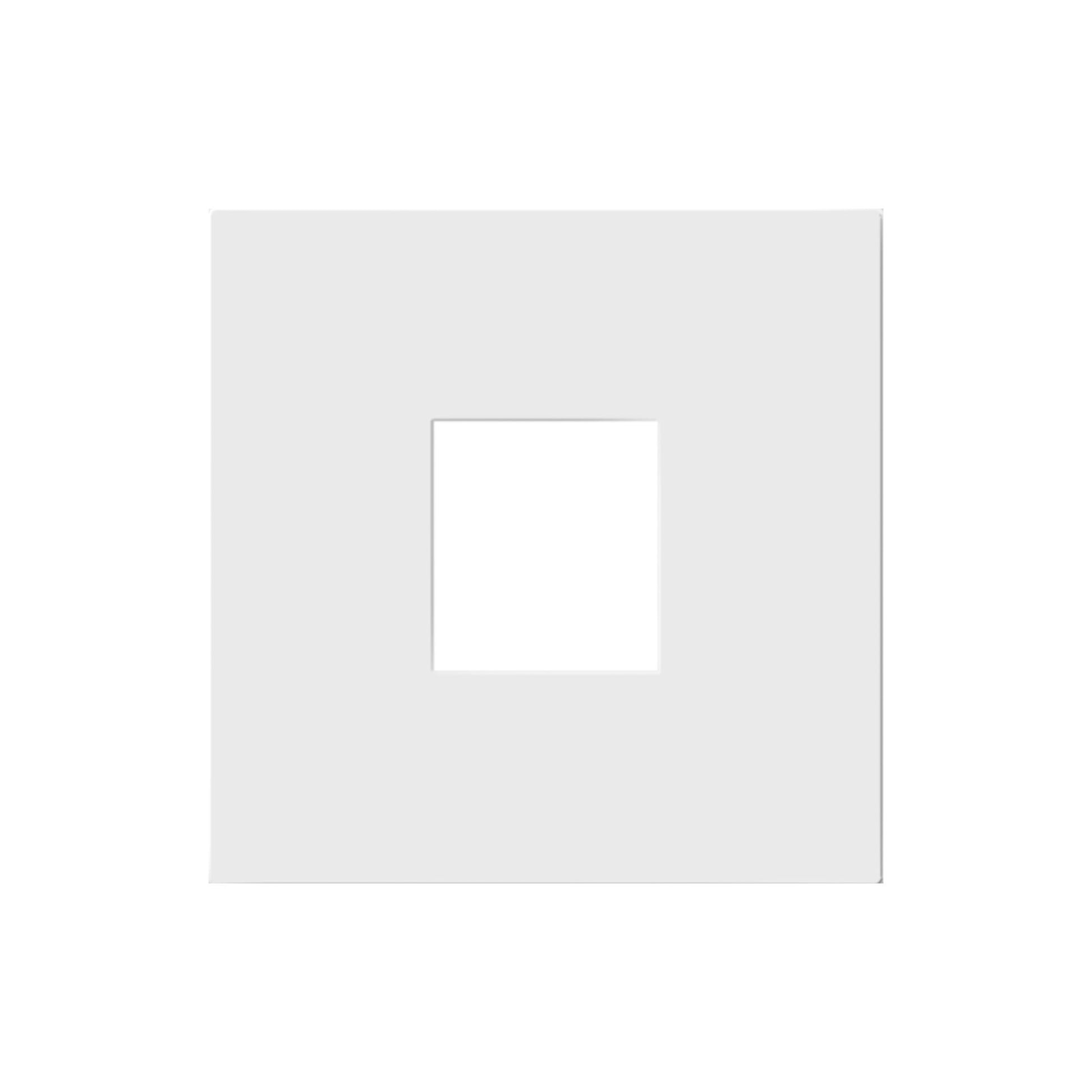 adorne 1-Port Keystone Wall Frame, White - Bees Lighting