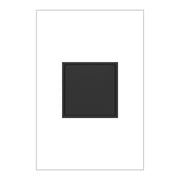 Legrand adorne 20A 1-Gang Pop-Out Outlet - Bees Lighting