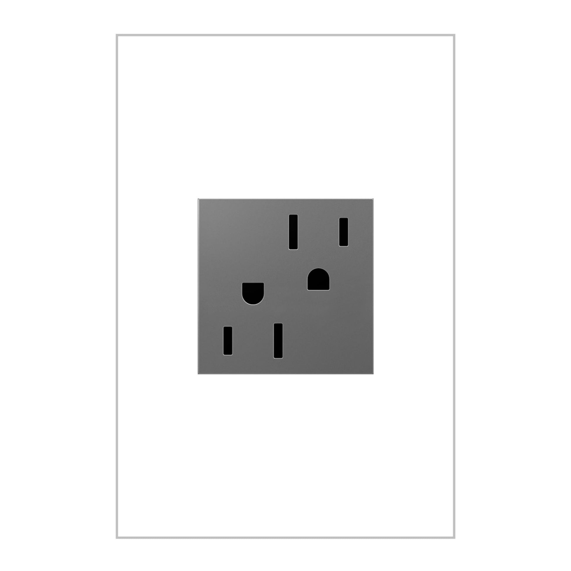 adorne 15A Dual Tamper-Resistant Outlet, Magnesium - Bees Lighting