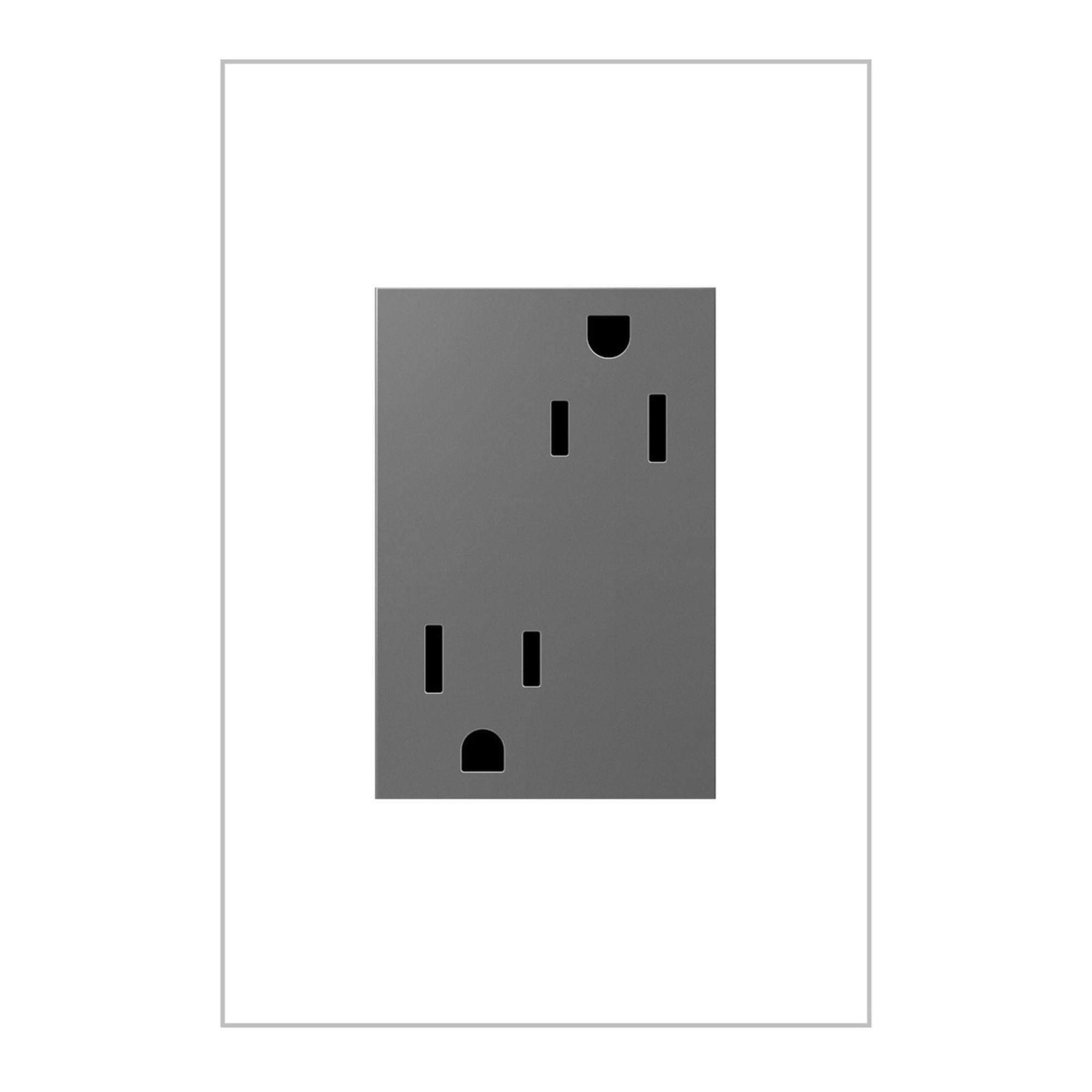 adorne 15A Plus-Size Dual Tamper-Resistant Outlet, Magnesium - Bees Lighting
