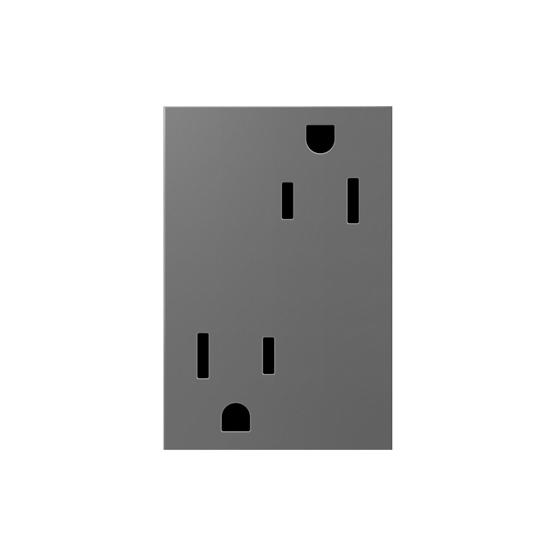 Legrand adorne 15A Dual Tamper-Resistant Plus-Size Outlet - Bees Lighting