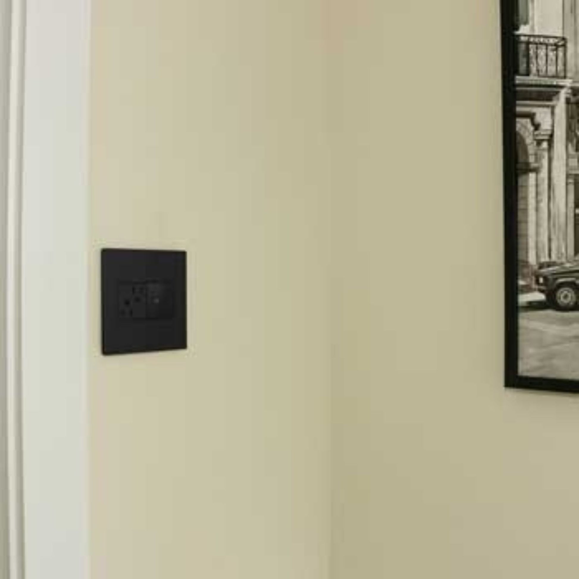 adorne 20A Dual Tamper-Resistant Outlet, Graphite - Bees Lighting
