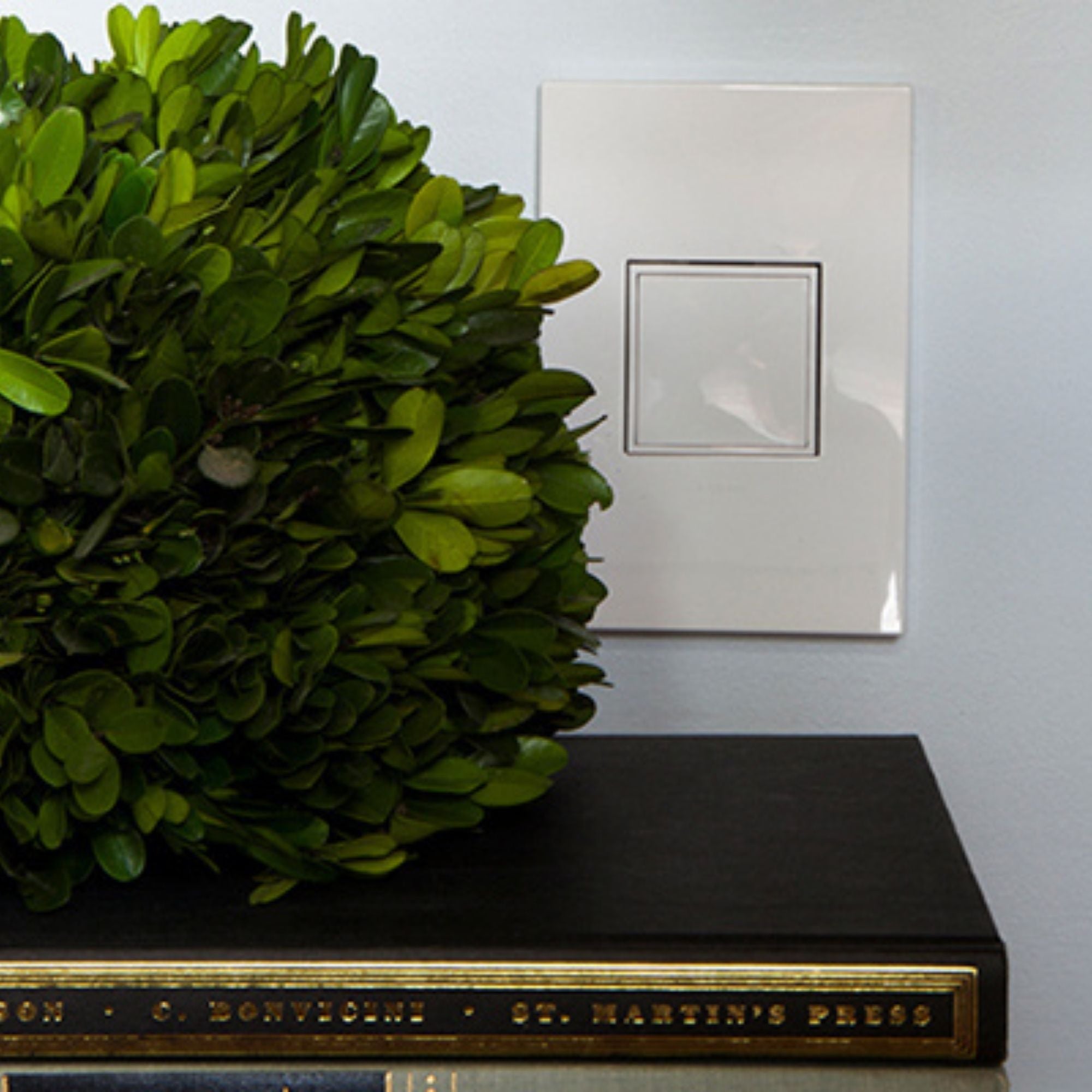 adorne 1-Gang Screwless Wall Plate, Glossy White on White - Bees Lighting
