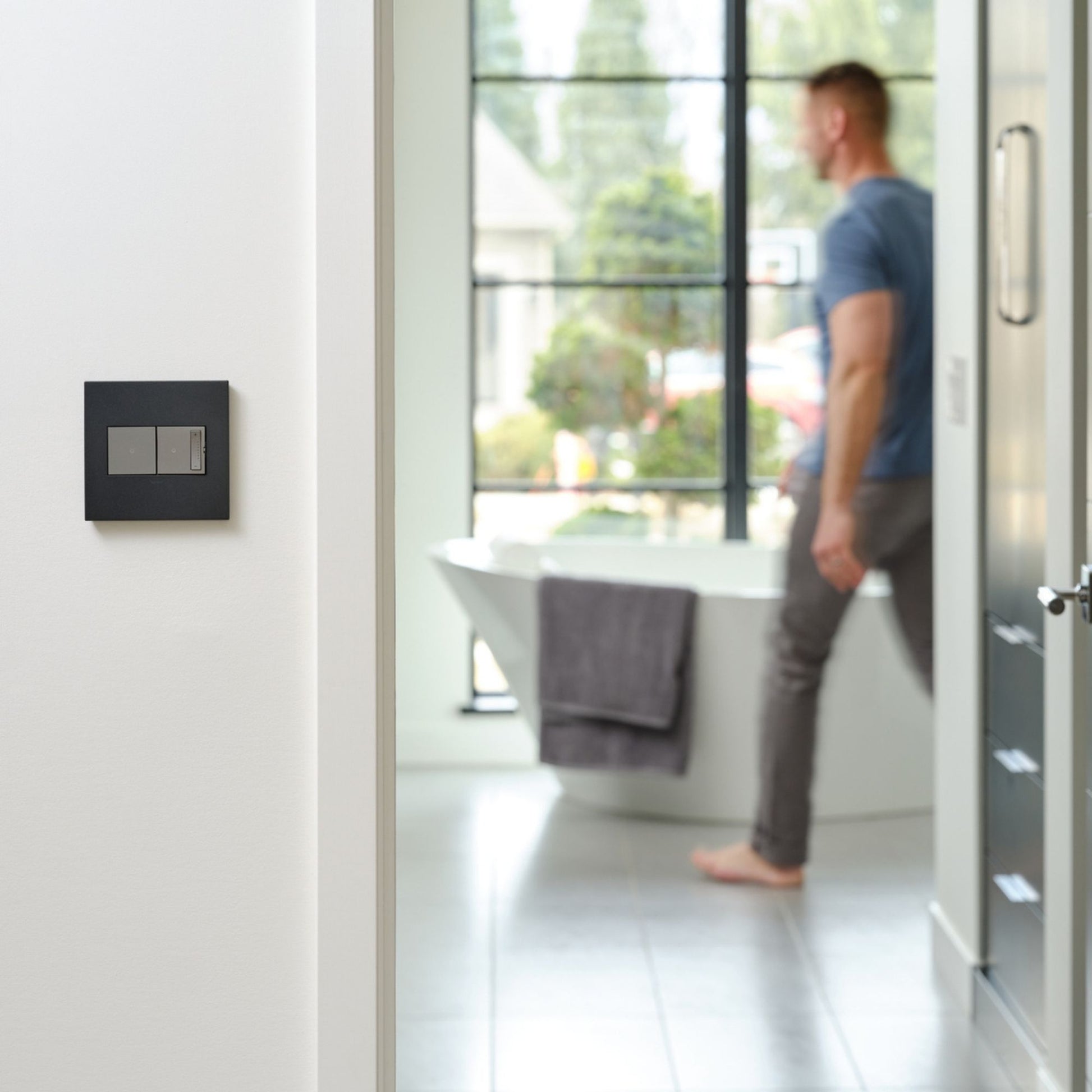 adorne 2-Gang Screwless Wall Plate, Graphite - Bees Lighting