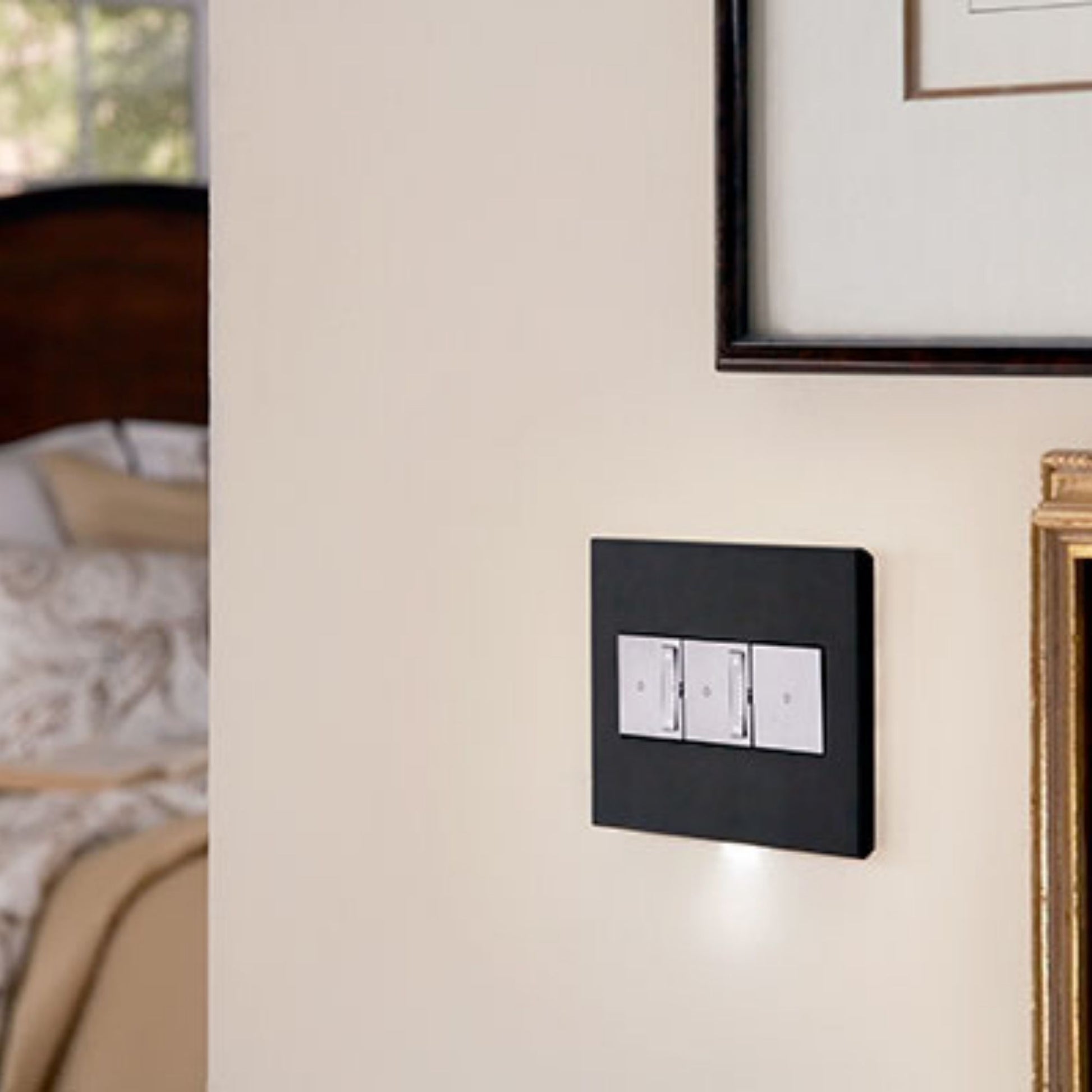 adorne 3-Gang Screwless Wall Plate, Graphite - Bees Lighting