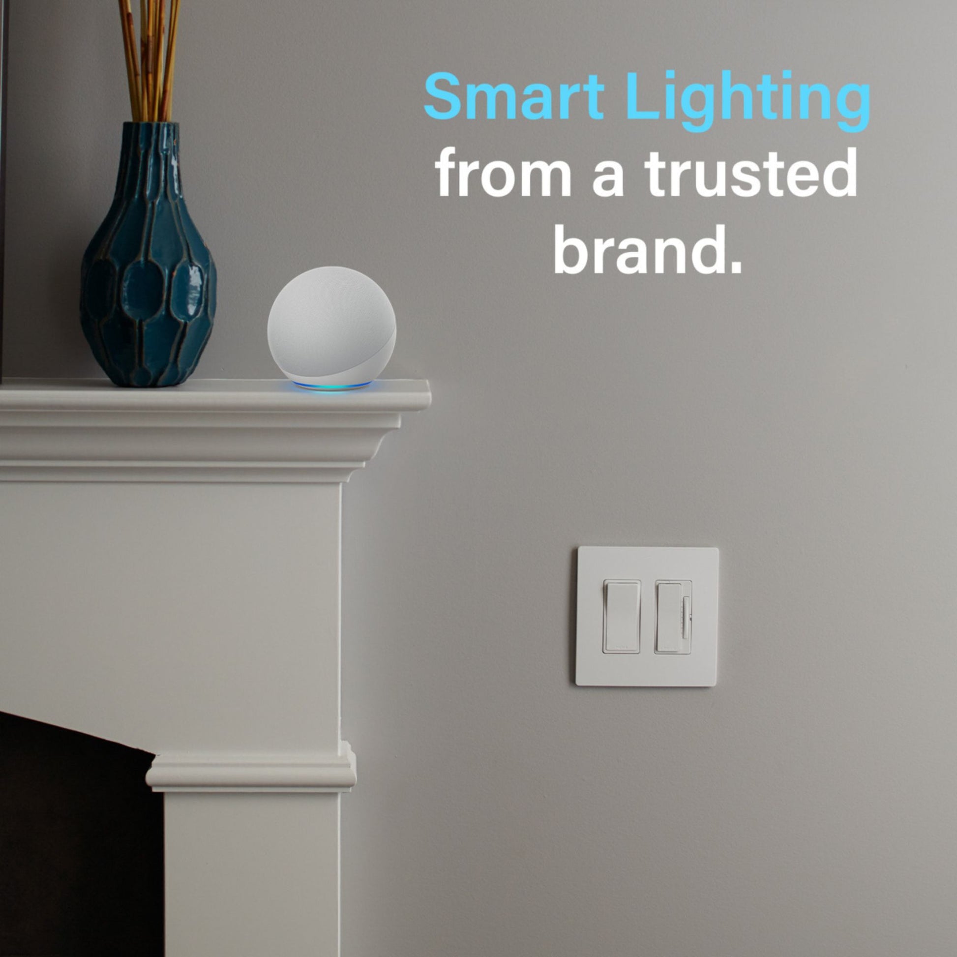 radiant Smart Switch with Wi-Fi, Matter-Enabled, White - Bees Lighting