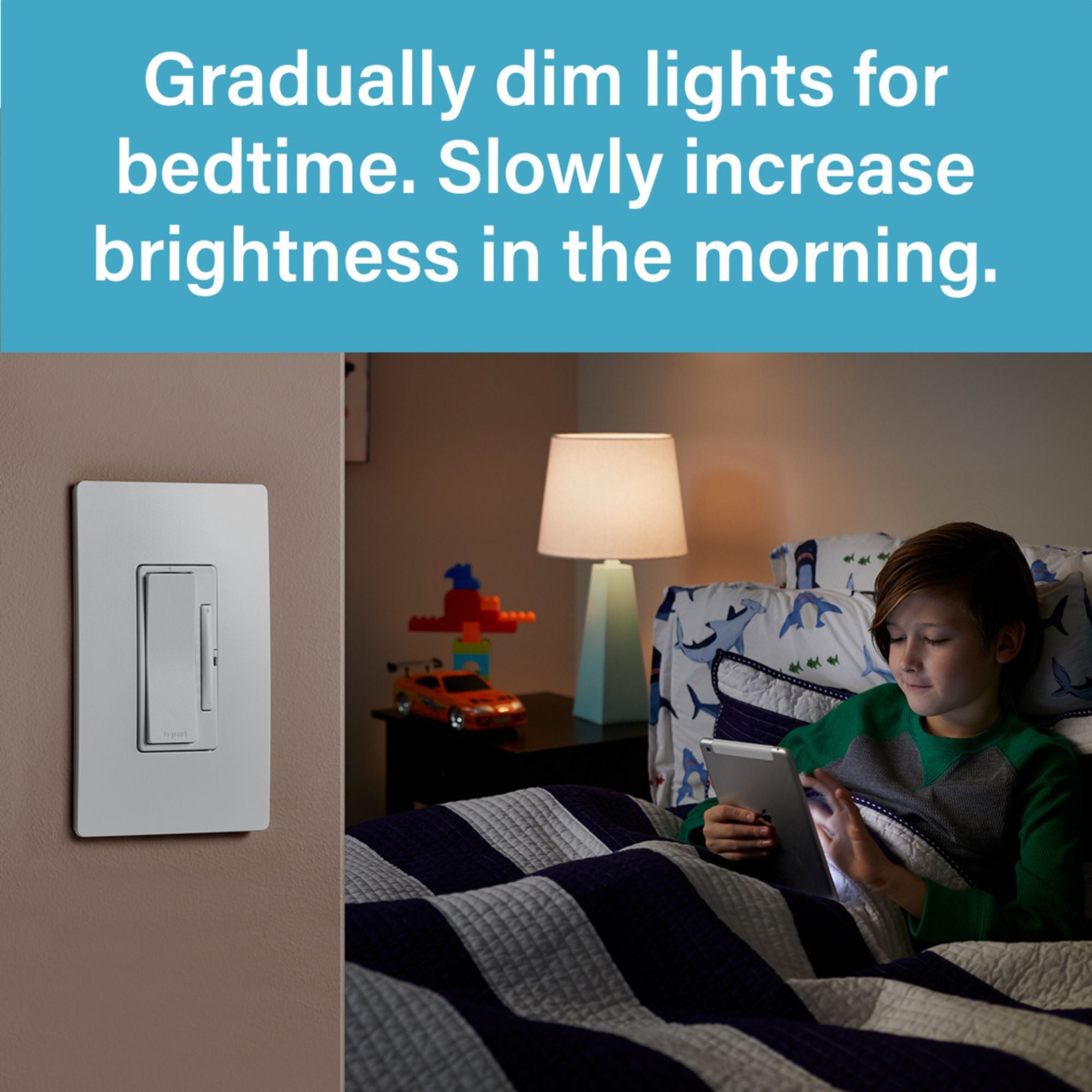 radiant Smart LED Dimmer with Wi-Fi, Matter-Enabled, White - Bees Lighting