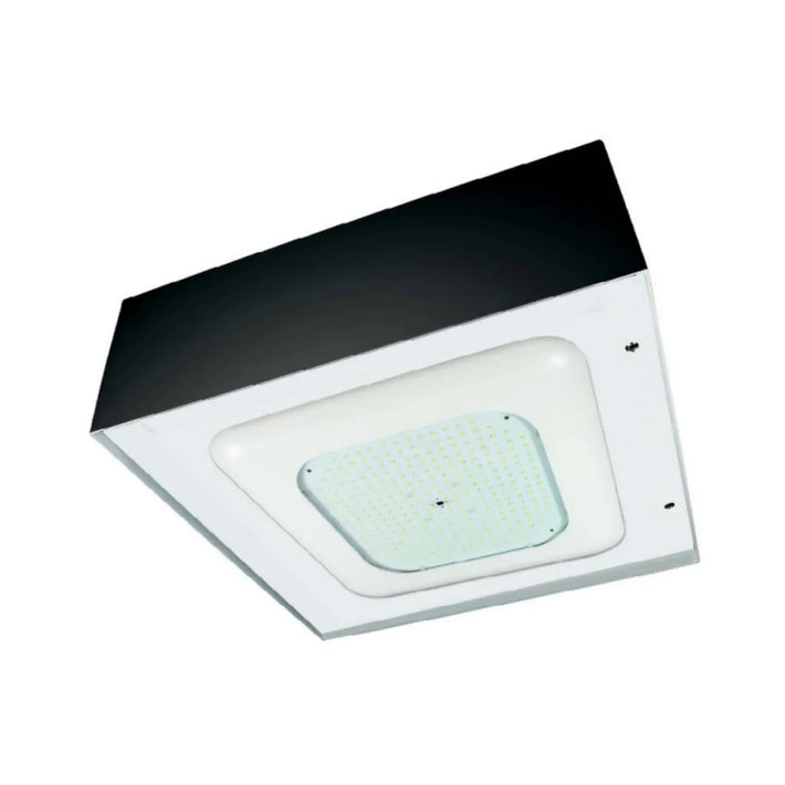 LSI Lighting | American-Made Commercial LED Fixtures – Bees Lighting