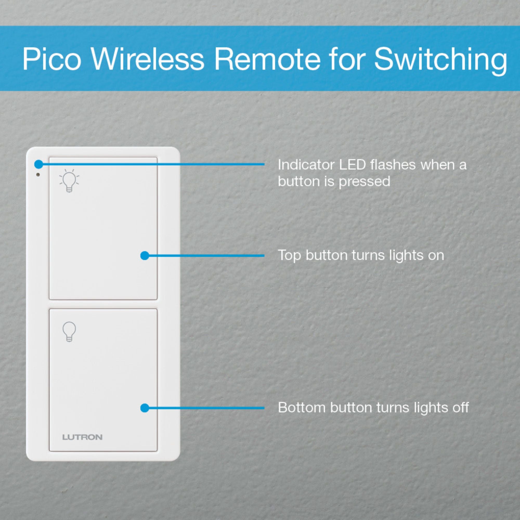 Lutron P-PKG1OUT-BL-R Caséta Weatherproof Outdoor Smart Plug with Pico Remote, 15A, IP65, Black
