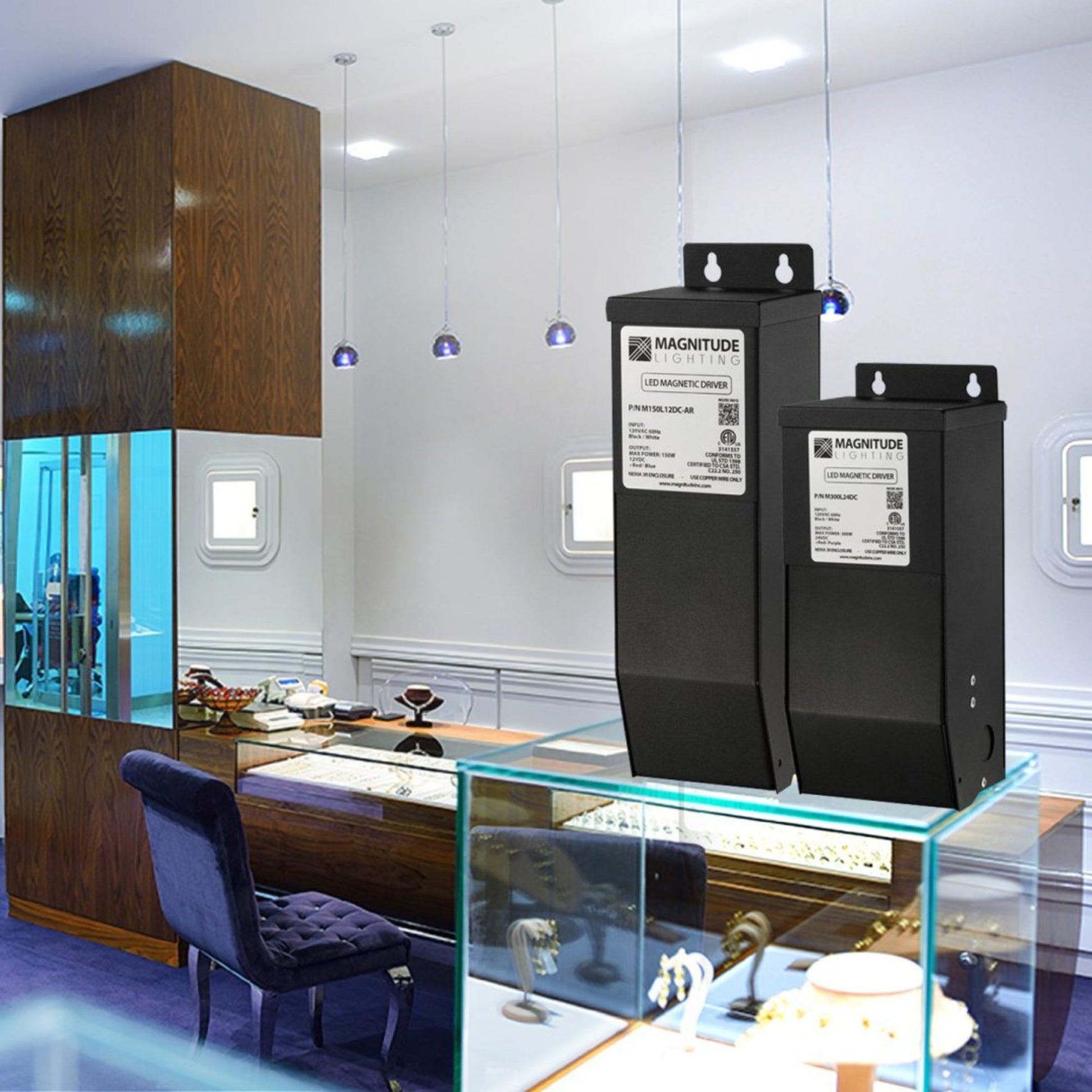 E-Series 96 Watts, 24VDC LED Driver, Class 2, Triac Phase Dimming, NEMA 3R, UL Enclosure - Bees Lighting