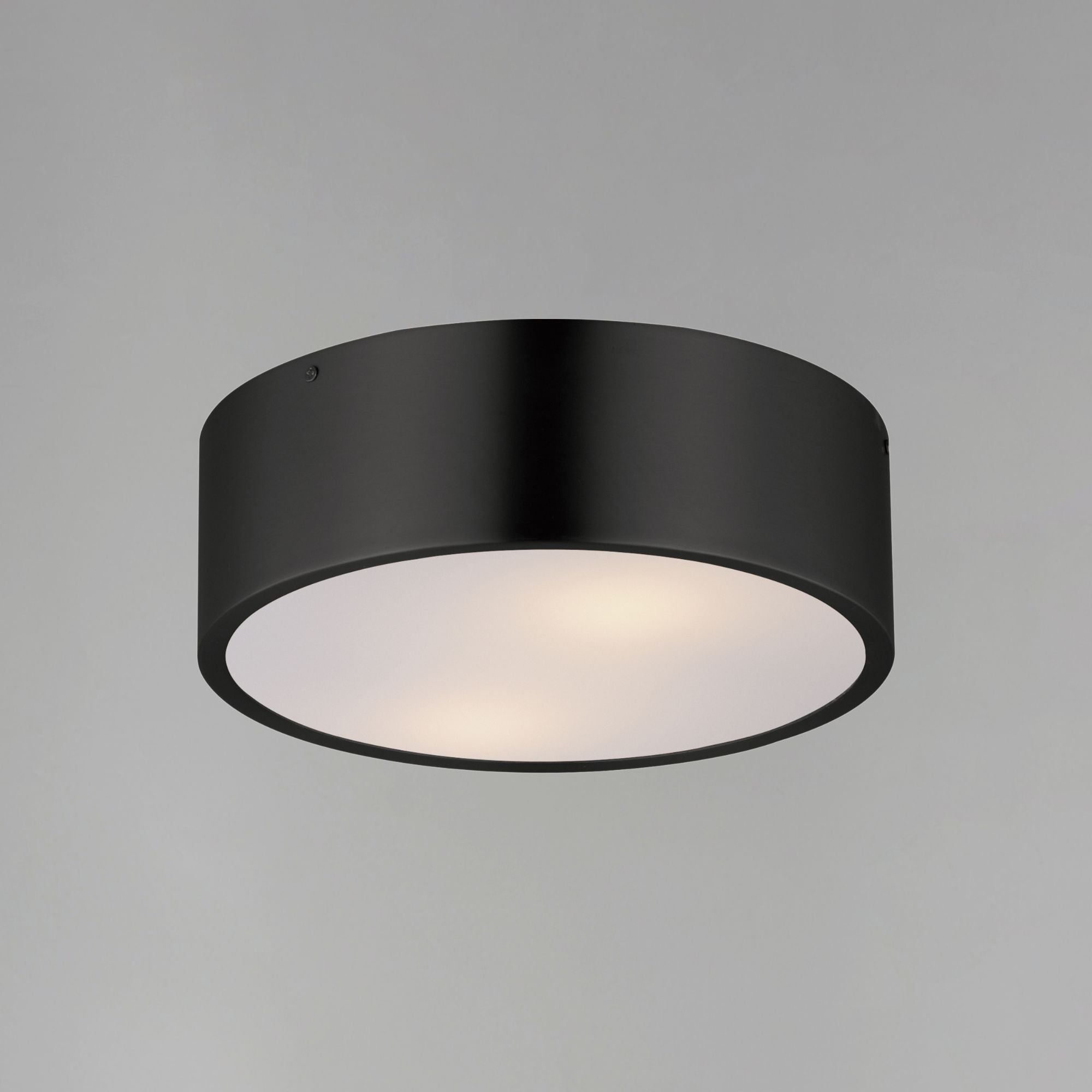 Tommy 12" 2-Light Surface Mount, Black Finish