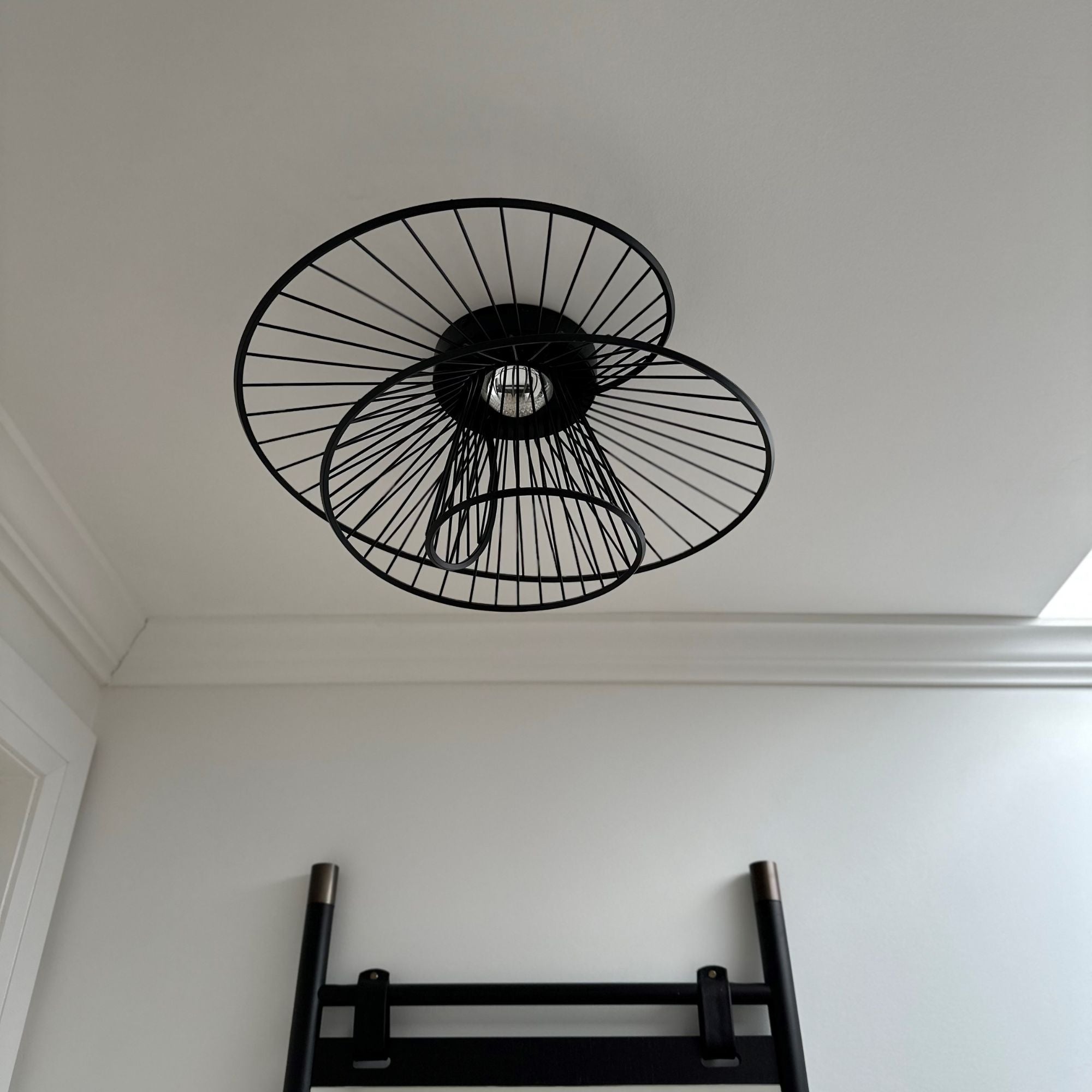 Zeta 20" LED Flush Mount, Black Finish