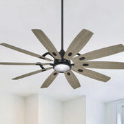 Barn 65" LED Smart Ceiling Fan with Remote, Black Coal