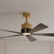 Oovin 54" 5-CCT LED Smart Ceiling Fan, Heritage Brass with Coal Blades