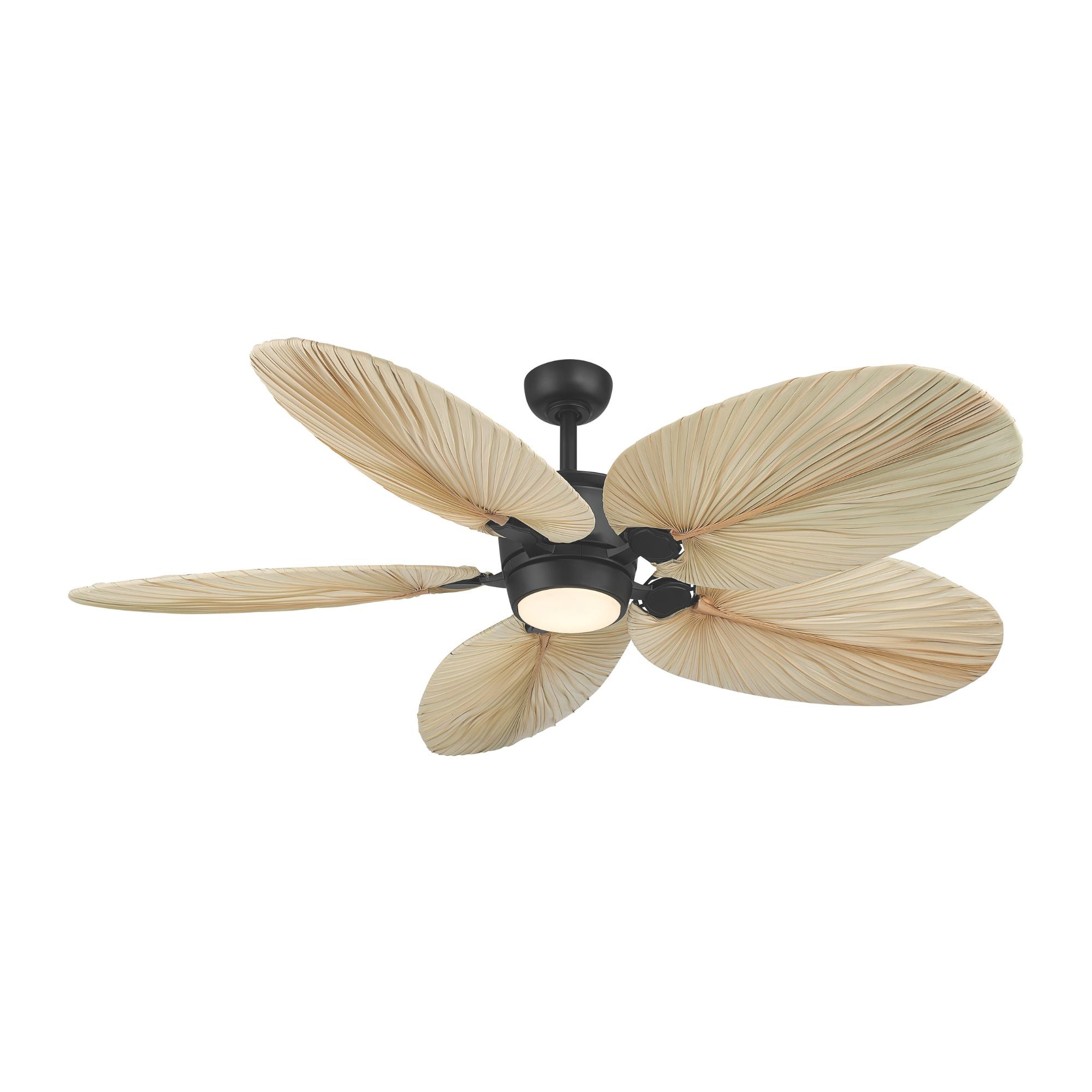 Portesa Tropical 60" 5-CCT LED Smart Ceiling Fan, Coal with Natural Palm Blades