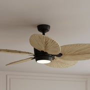 Portesa Tropical 60" 5-CCT LED Smart Ceiling Fan, Coal with Natural Palm Blades