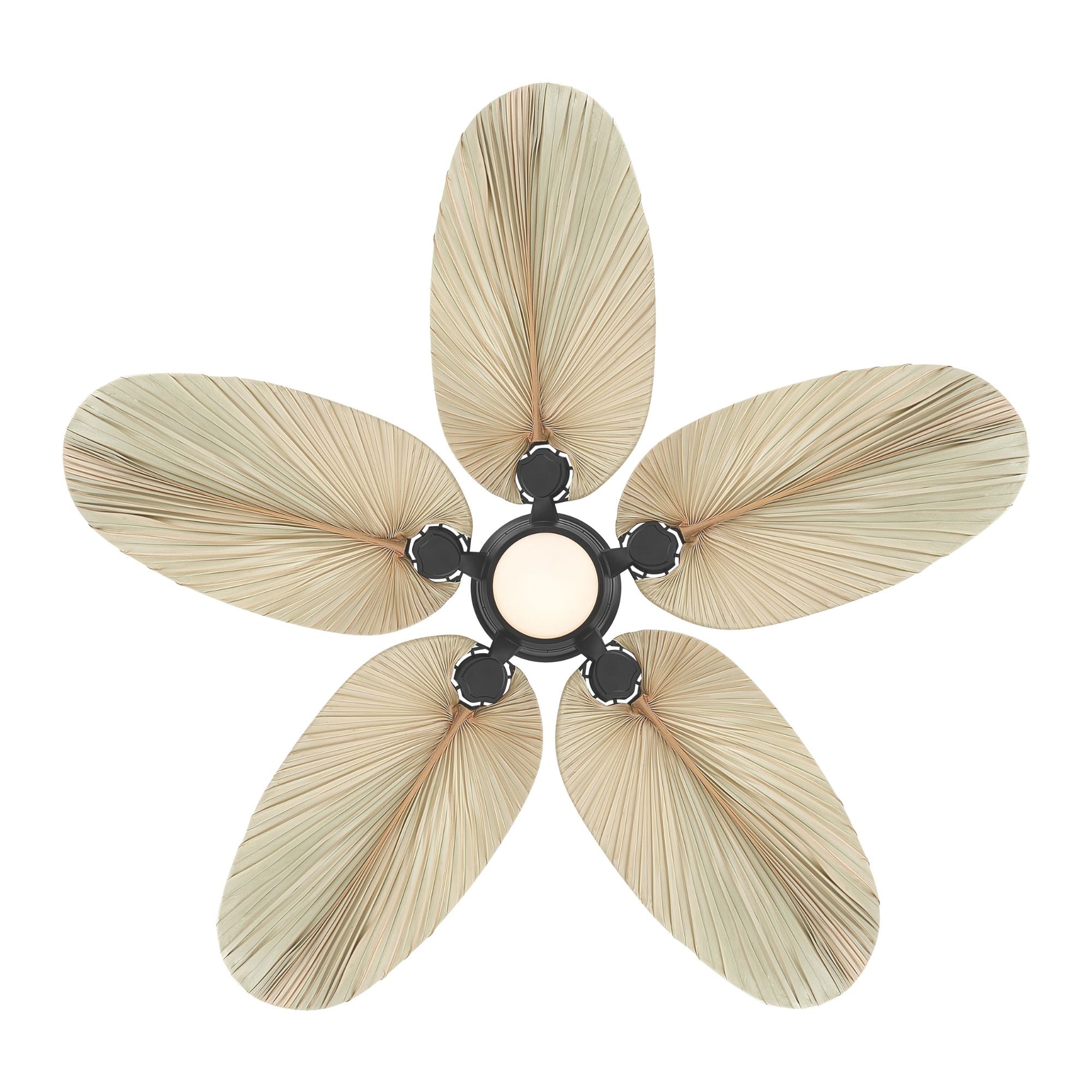 Portesa Tropical 60" 5-CCT LED Smart Ceiling Fan, Coal with Natural Palm Blades