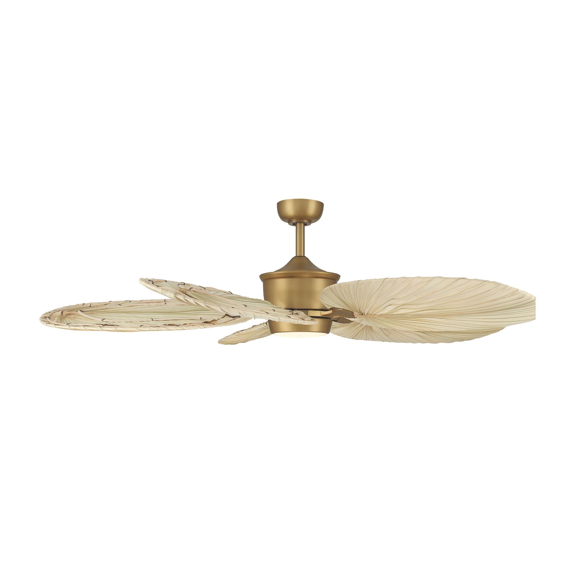 Portesa Tropical 60" 5-CCT LED Smart Ceiling Fan, Heritage Brass with Natural Palm Blades