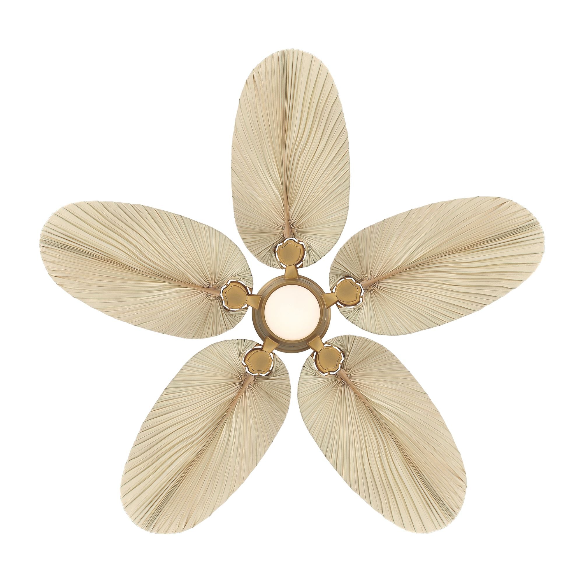 Portesa Tropical 60" 5-CCT LED Smart Ceiling Fan, Heritage Brass with Natural Palm Blades