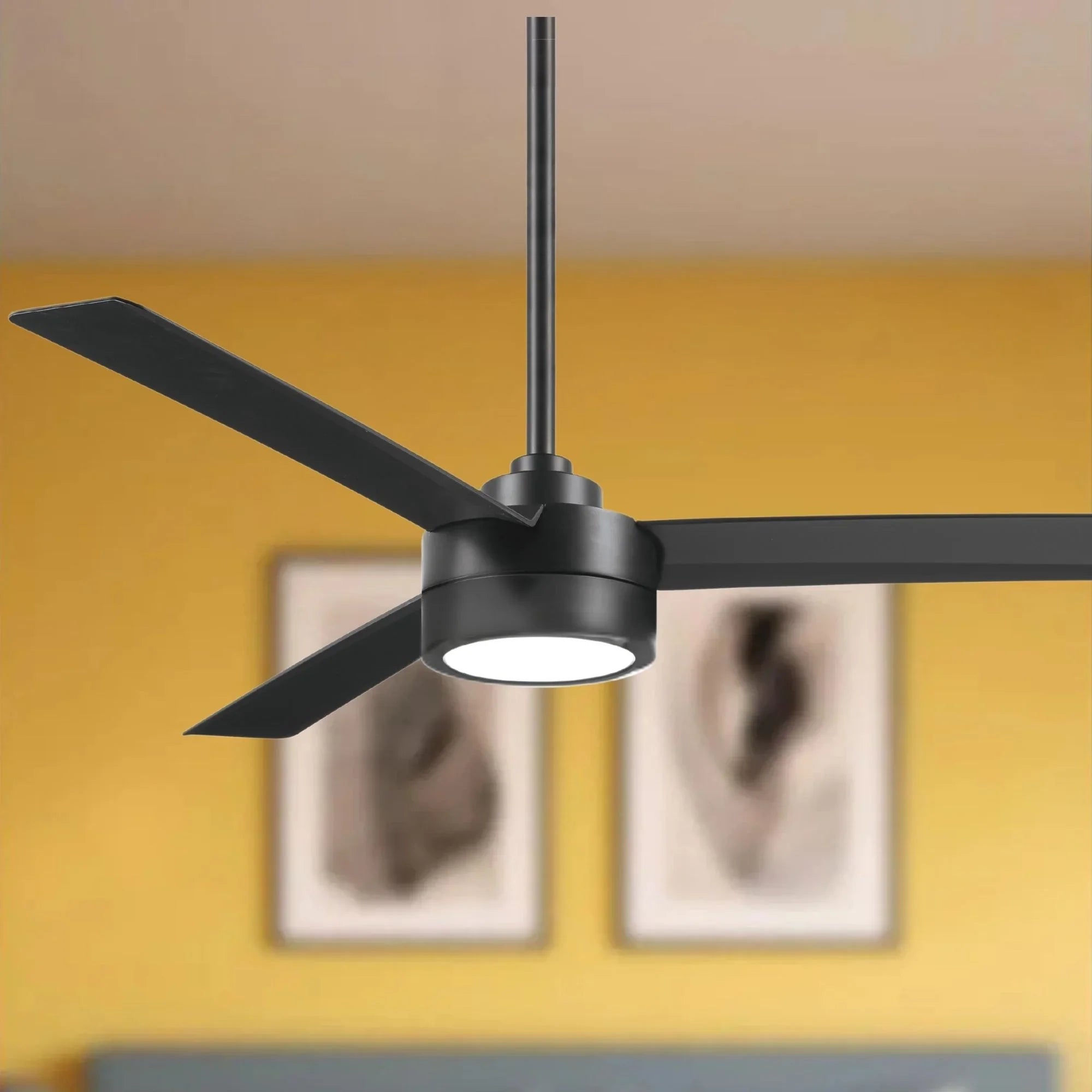 Roto LED 52" Black Coal Ceiling Fan with Etched Lens