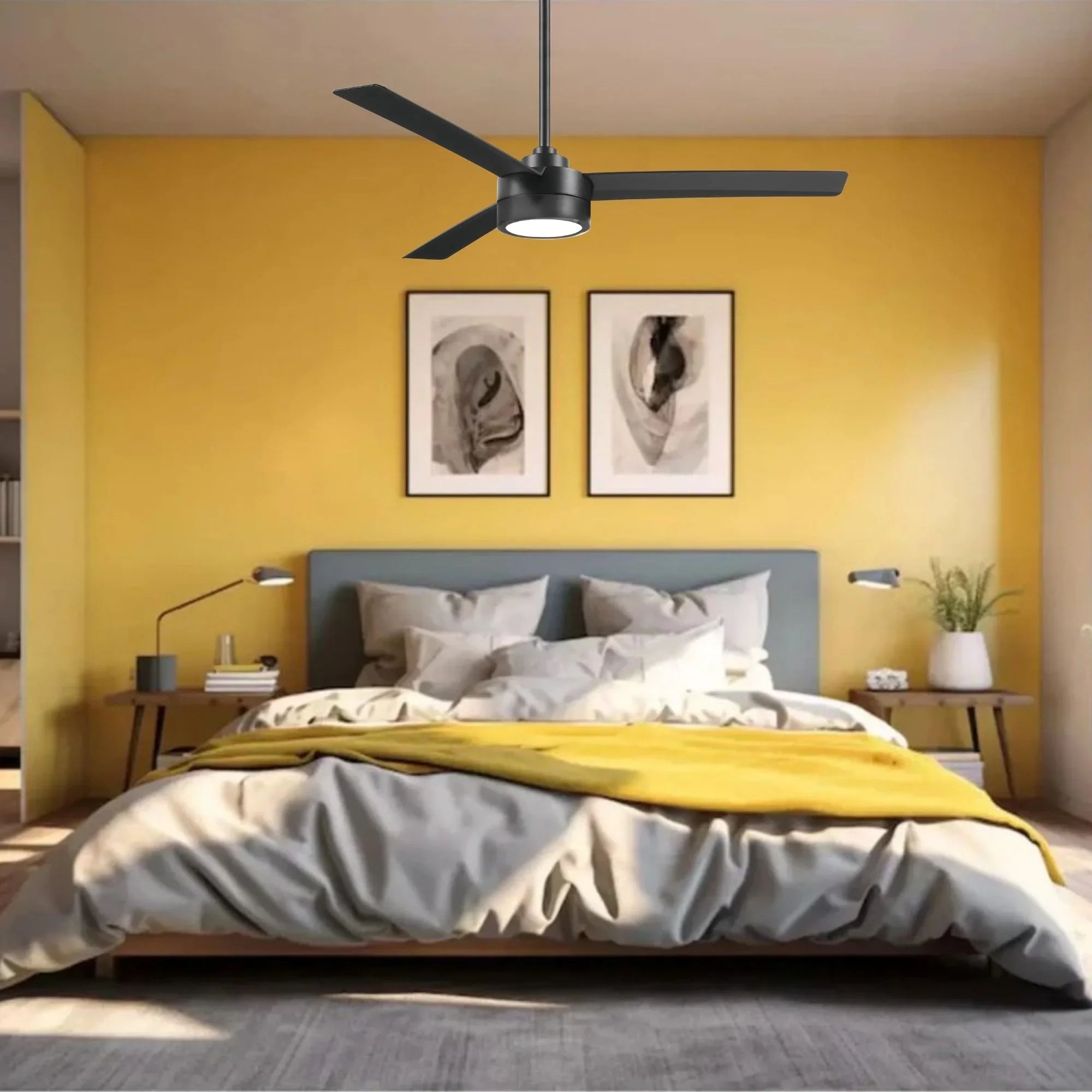 Roto LED 52" Black Coal Ceiling Fan with Etched Lens