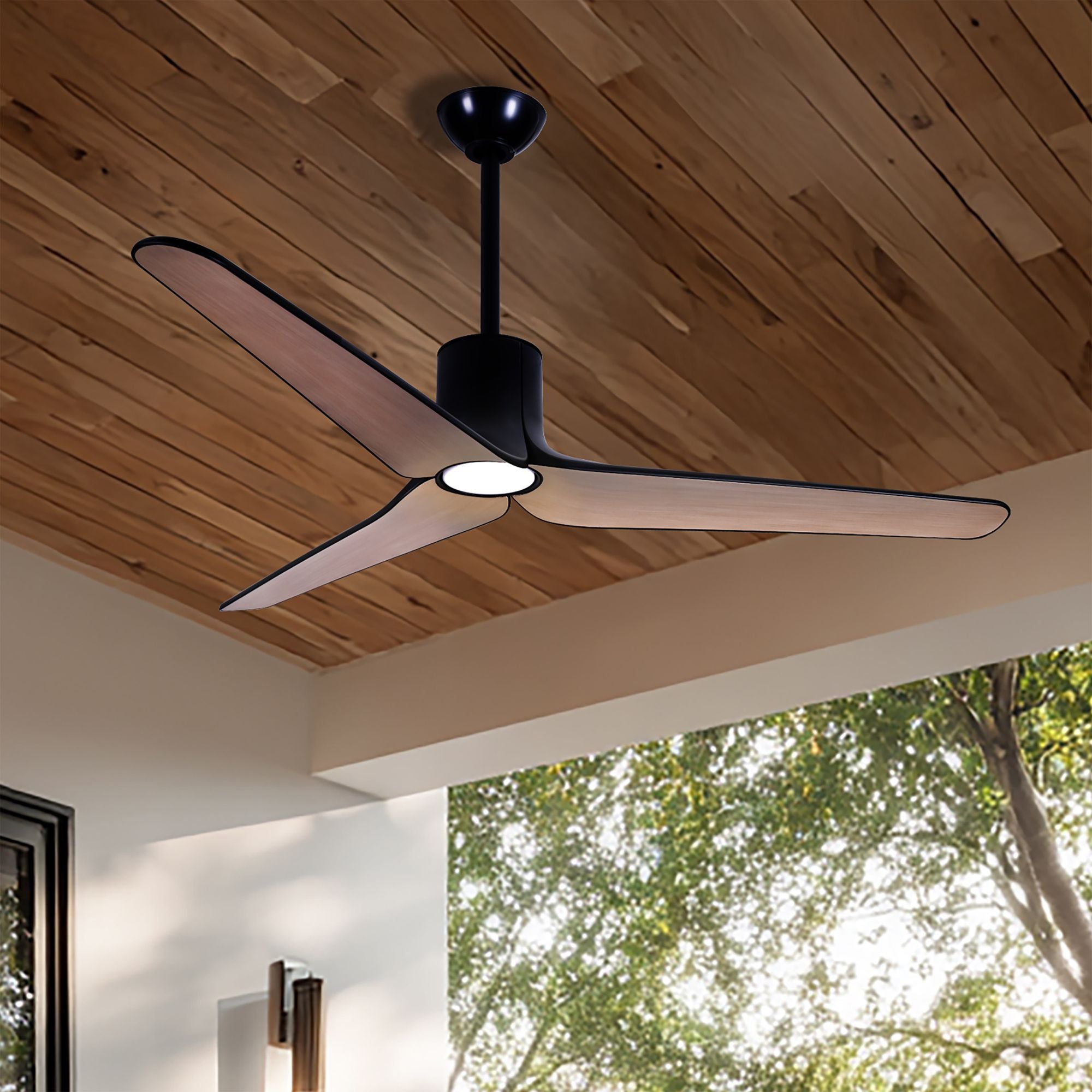 Tempri 56" Indoor/Outdoor LED Ceiling Fan, Coal Black
