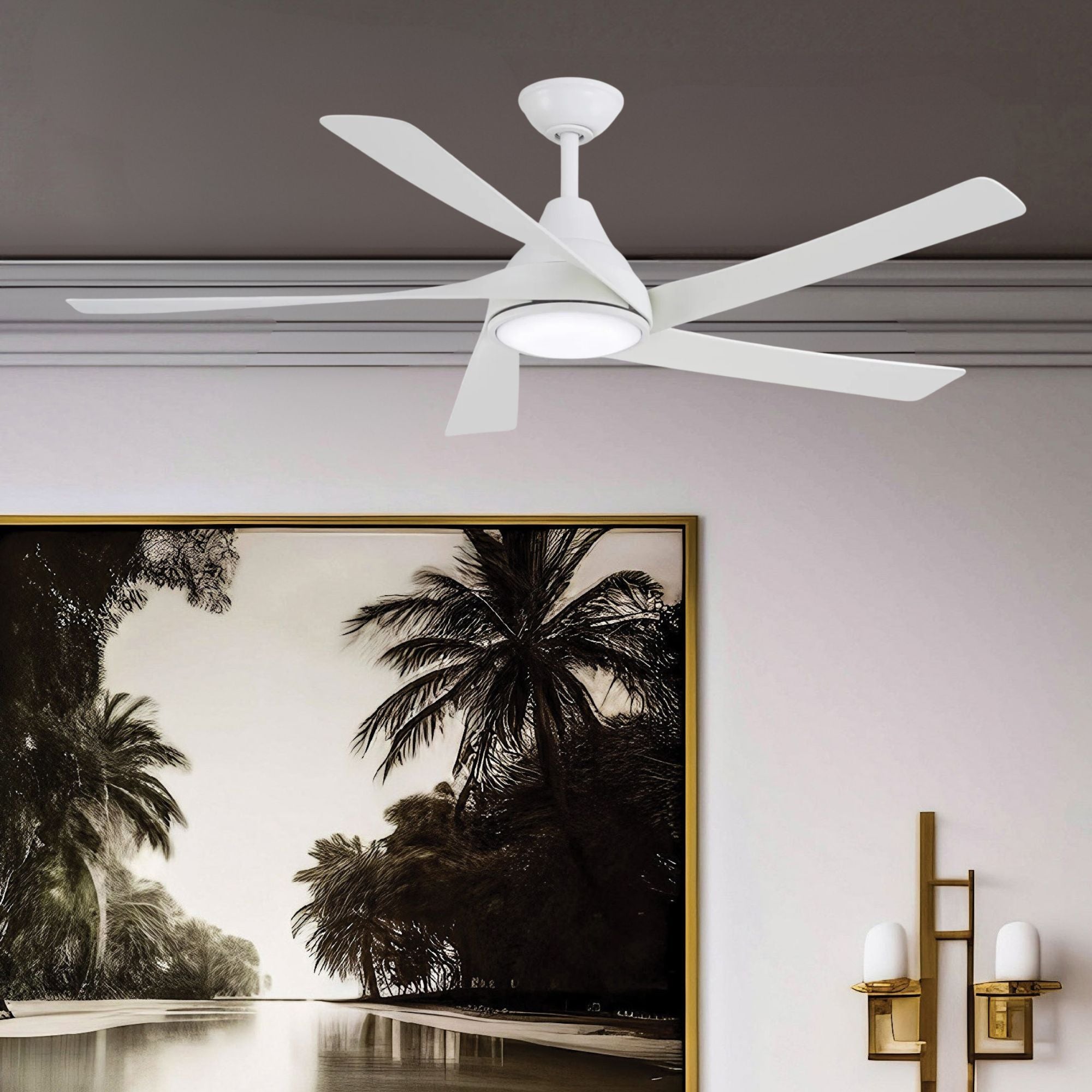 Transonic 56" LED Ceiling Fan with Remote, Flat White