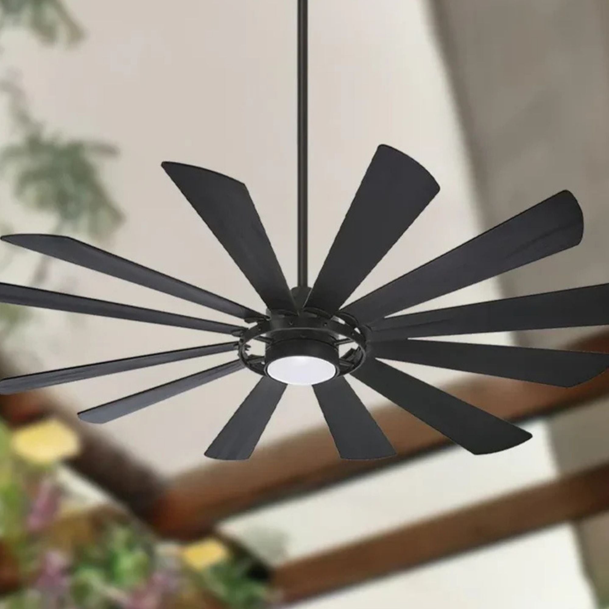 Windmolen LED 65" Wet Rated Smart Ceiling Fan, Textured Coal