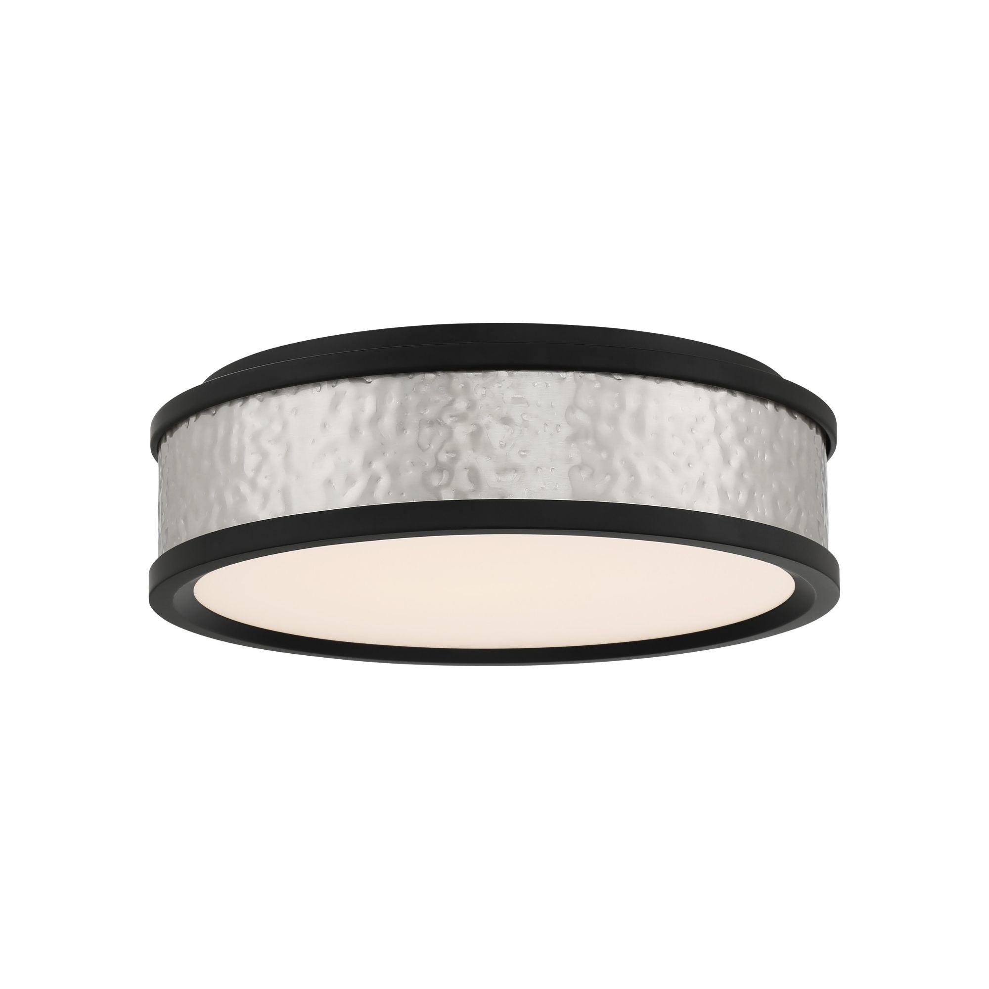 12" LED Flush Mount, Coal & Brushed Nickel Finish