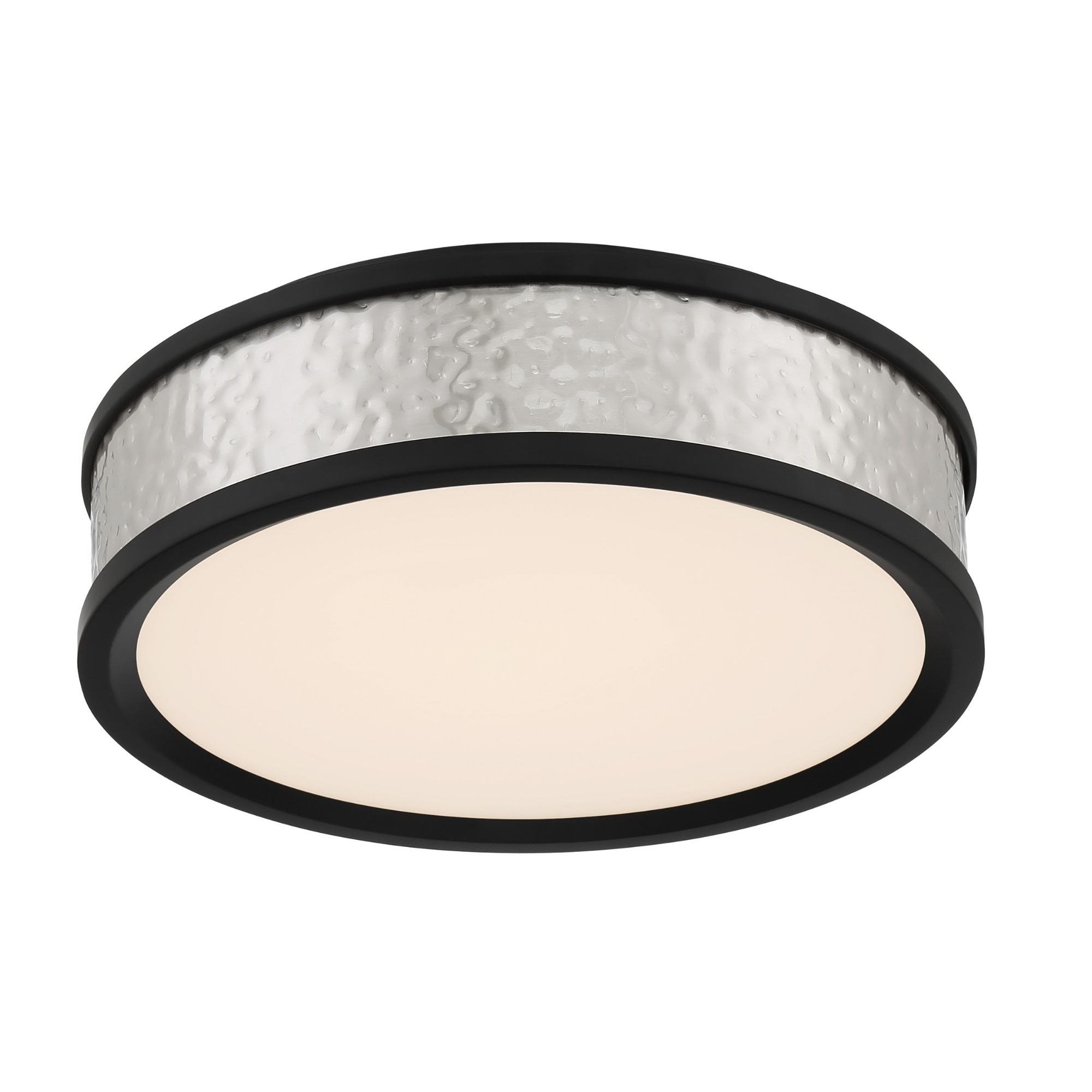 12" LED Flush Mount, Coal & Brushed Nickel Finish