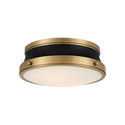 Minka-Lavery Purelight 15 in. 2-Light Flush Mount