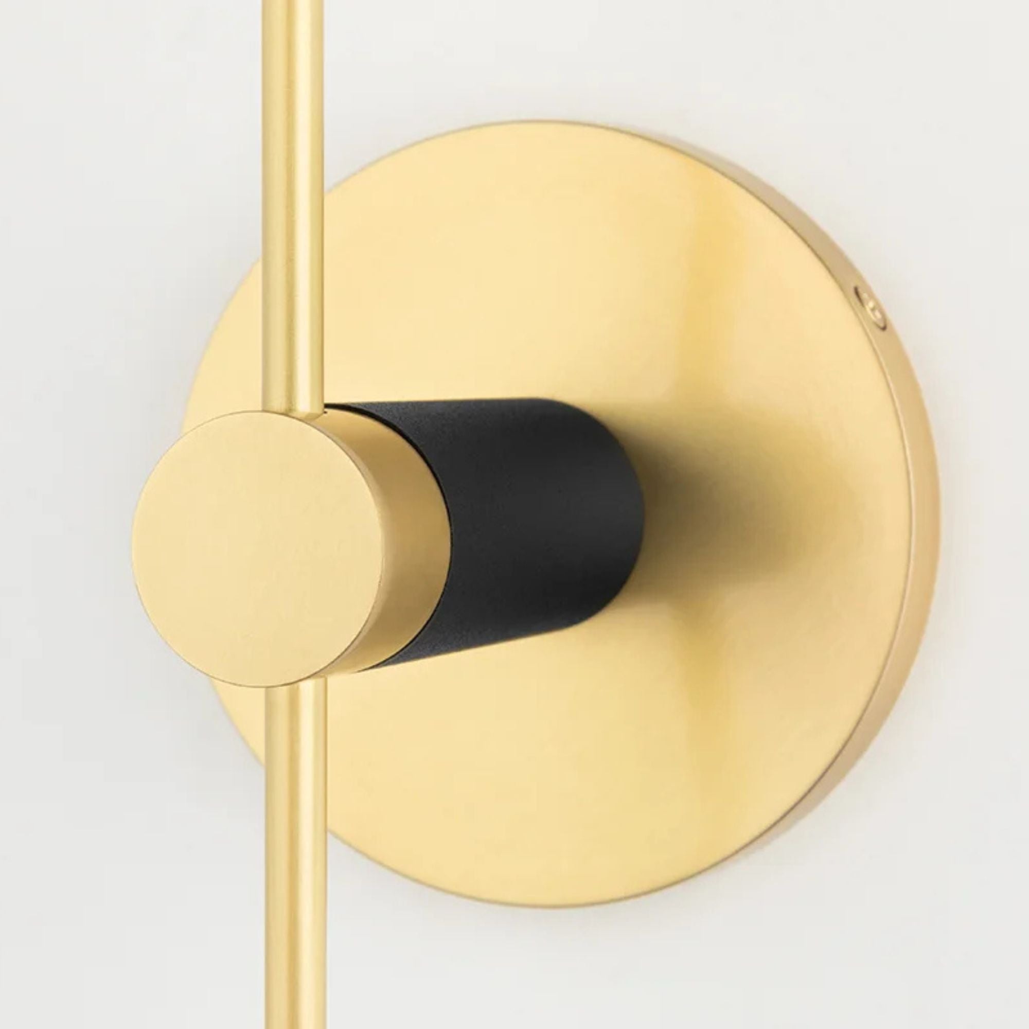 Astrid 18" 2-Light Wall Sconce, Aged Brass/Black Finish