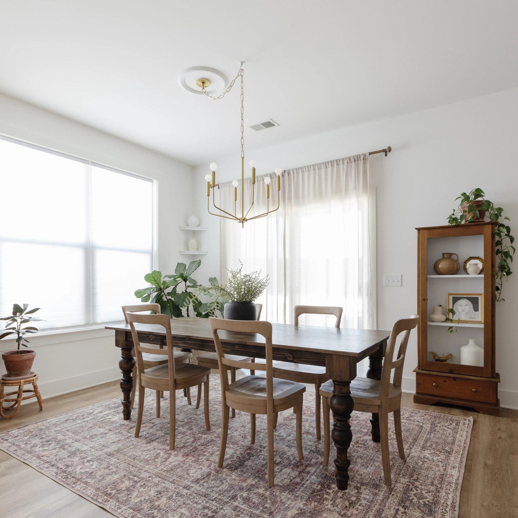 Mitzi - Bailey 27" 6-Light Chandelier, Aged Brass Finish | Bees Lighting