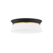 Cath 13 in. 2 Lights Flush Mount Light
