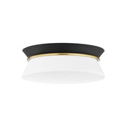 Cath 13 in. 2 Lights Flush Mount Light