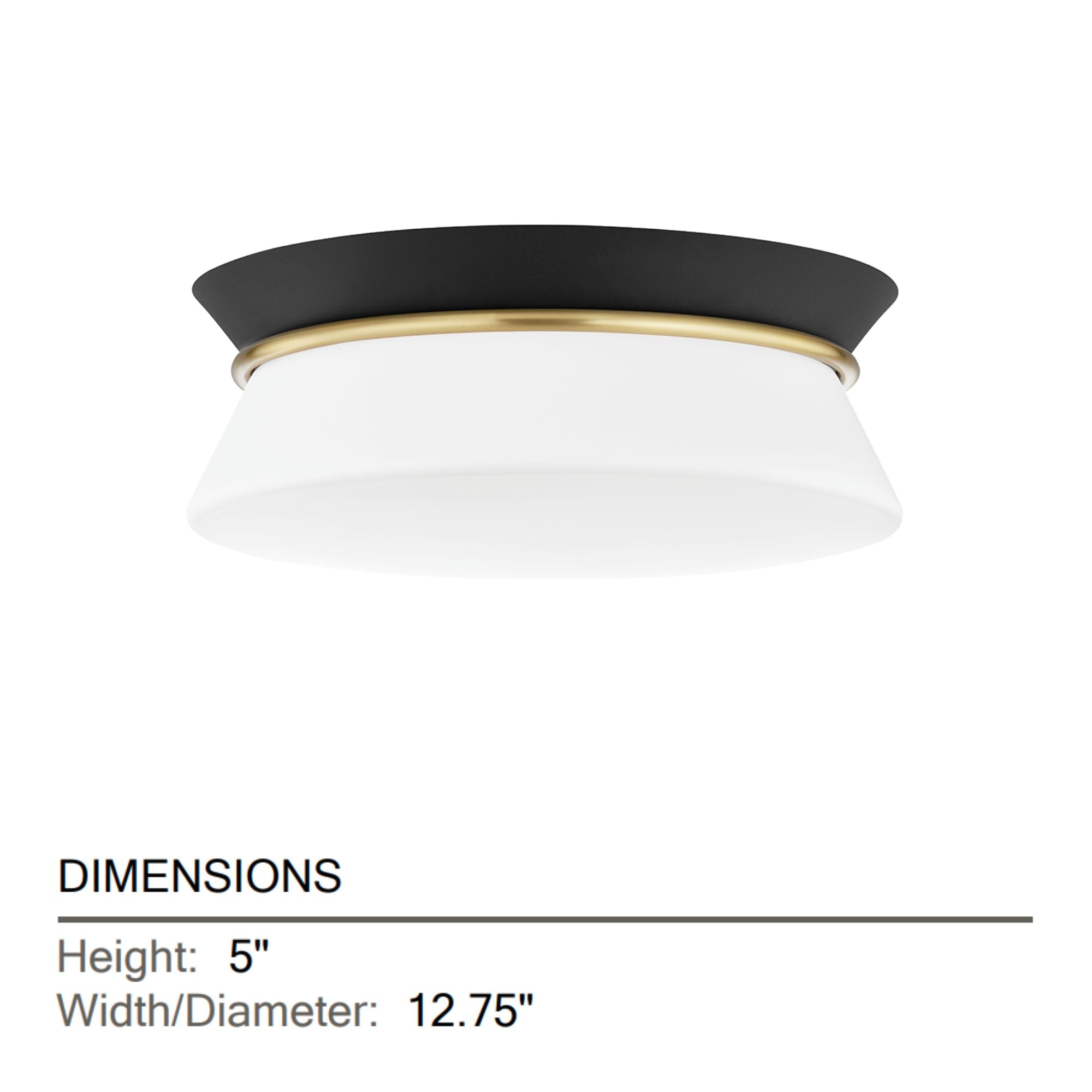 Mitzi - Cath 24" 2-Light Flush Mount, Aged Brass/Black Finish | Bees Lighting