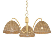 Katniss 28" 3-Light Chandelier, Aged Brass Finish