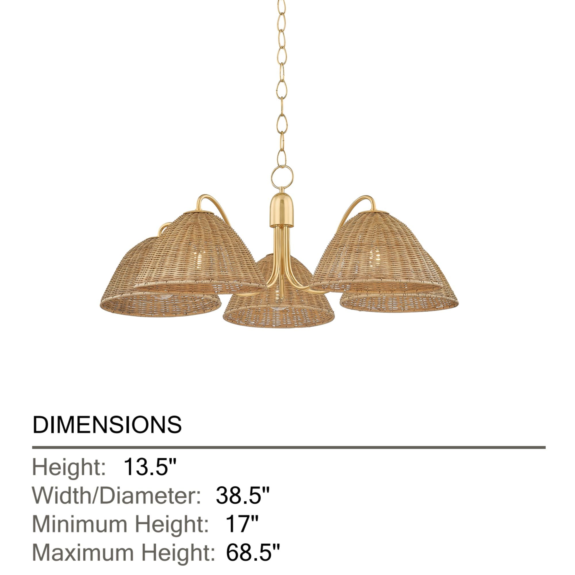 Katniss 39" 5-Light Chandelier, Aged Brass Finish