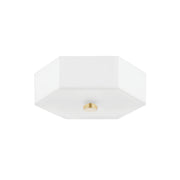 Lizzie 11" 2-Light Flush Mount, Aged Brass/Polished Nickel Finish