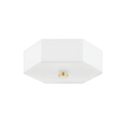 Lizzie 11" 2-Light Flush Mount, Aged Brass/Polished Nickel Finish