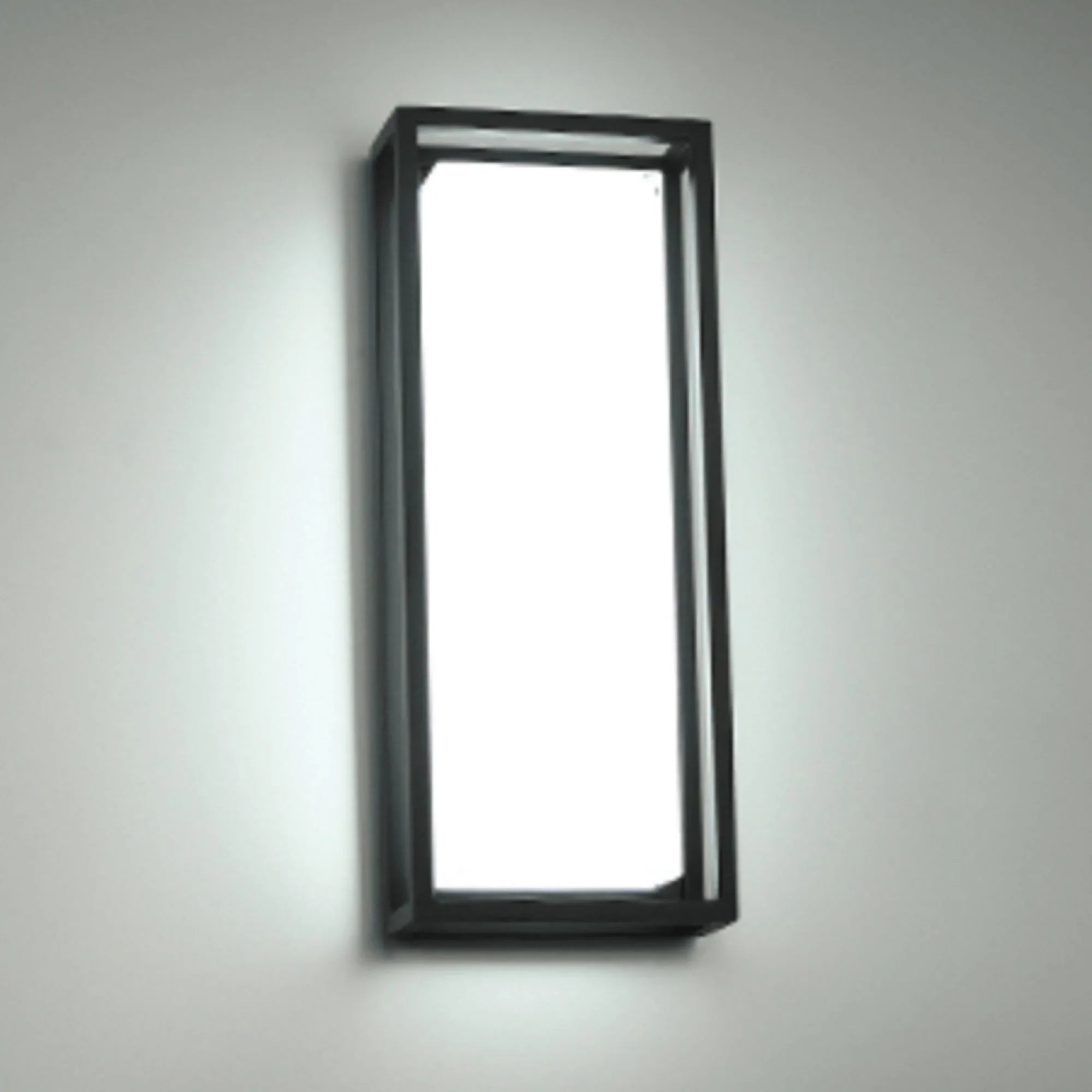 Framed 20" LED Outdoor Wall Sconce, Black Finish
